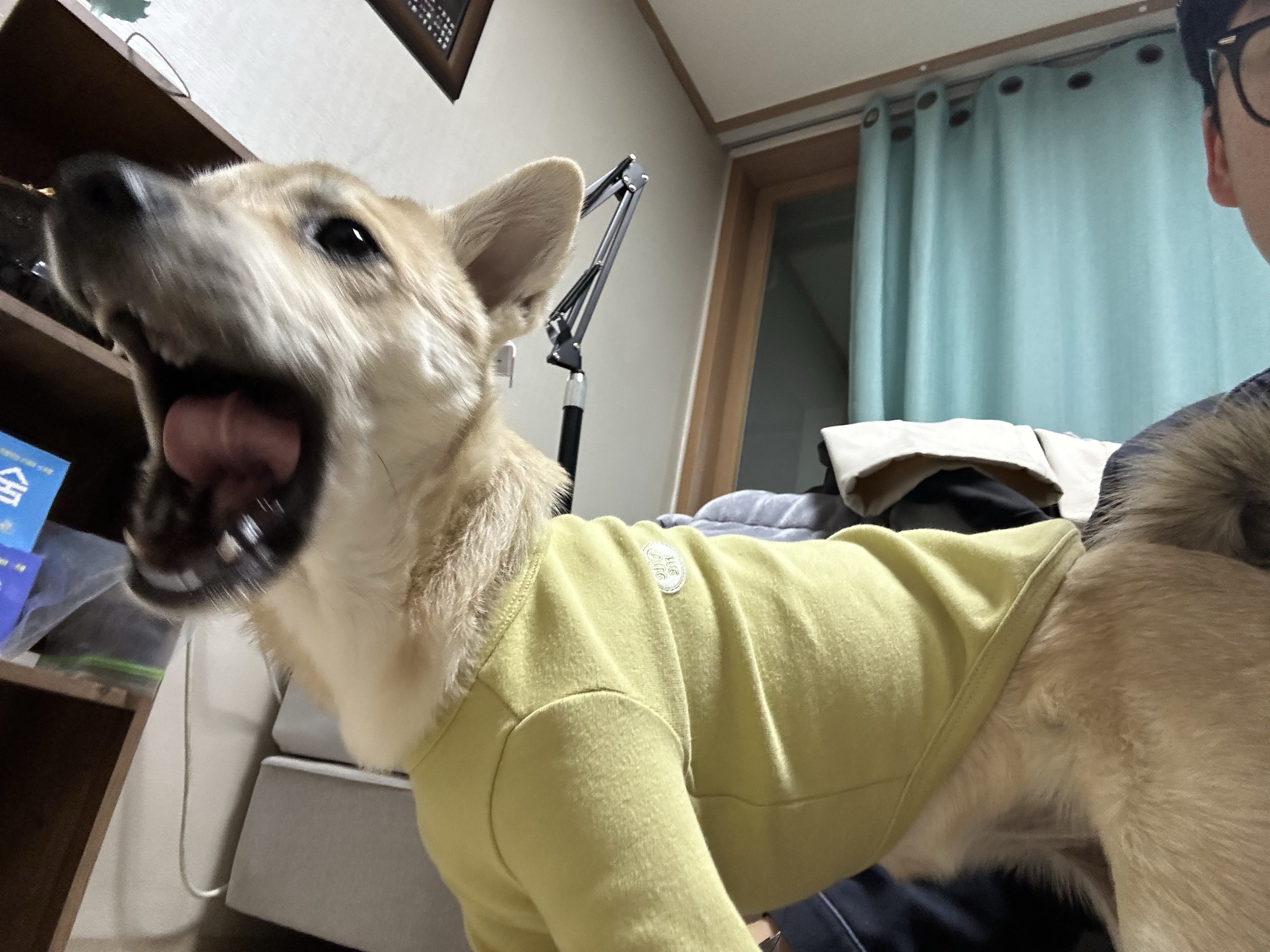 리뷰 이미지