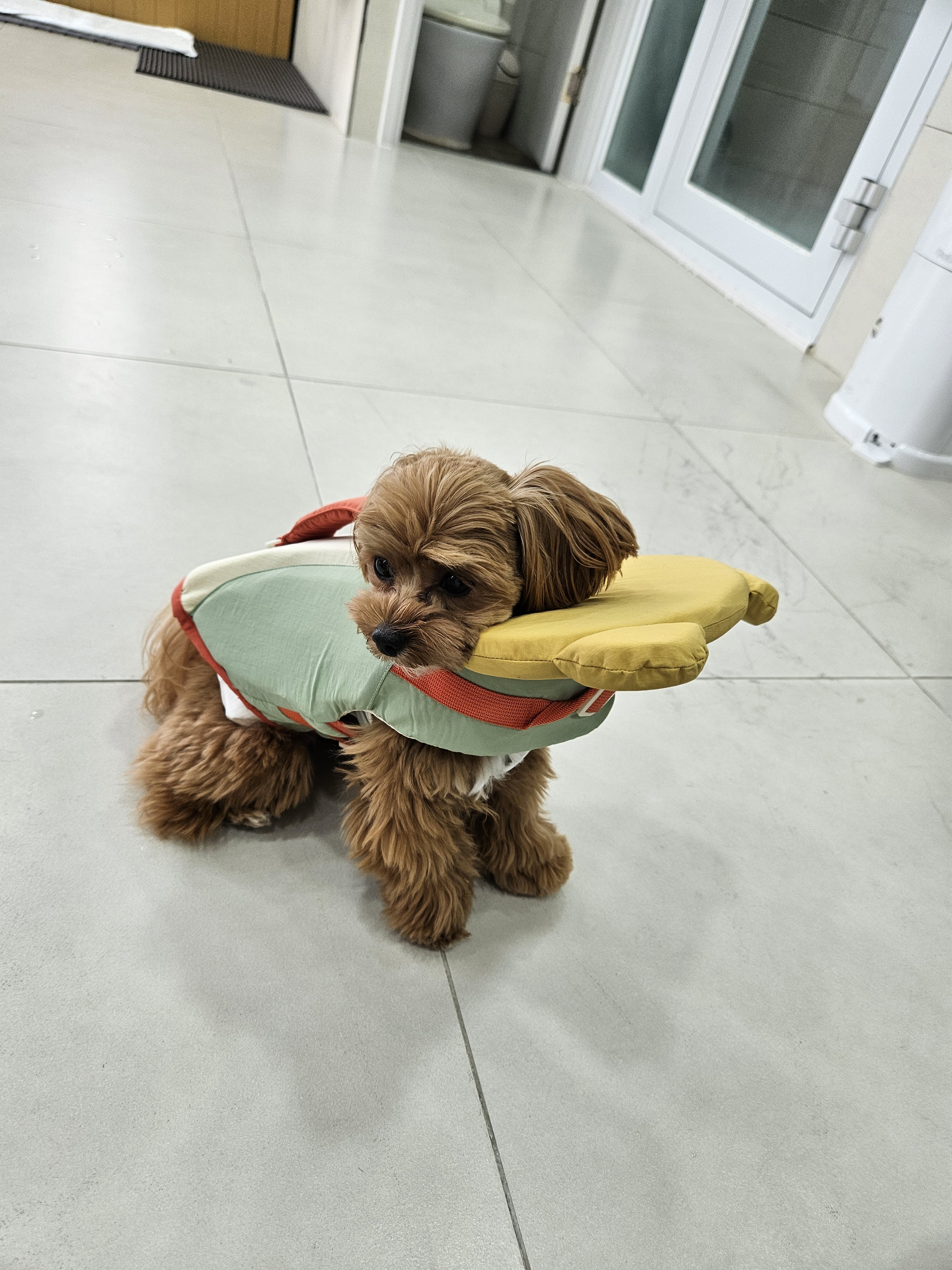 리뷰 이미지