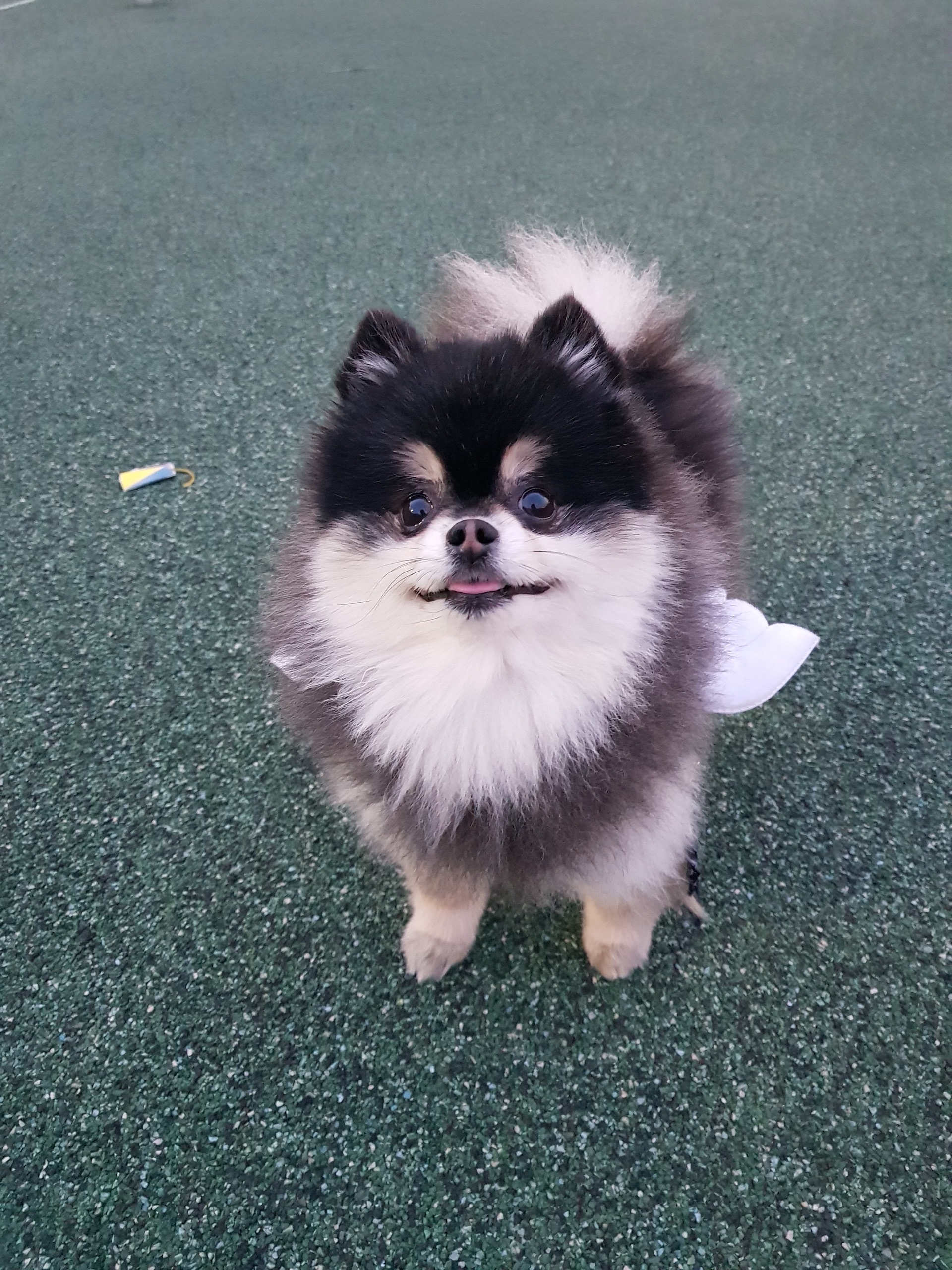 리뷰 이미지