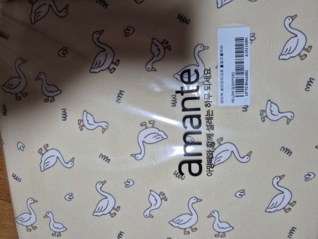 이미지를 찾을 수 없습니다.