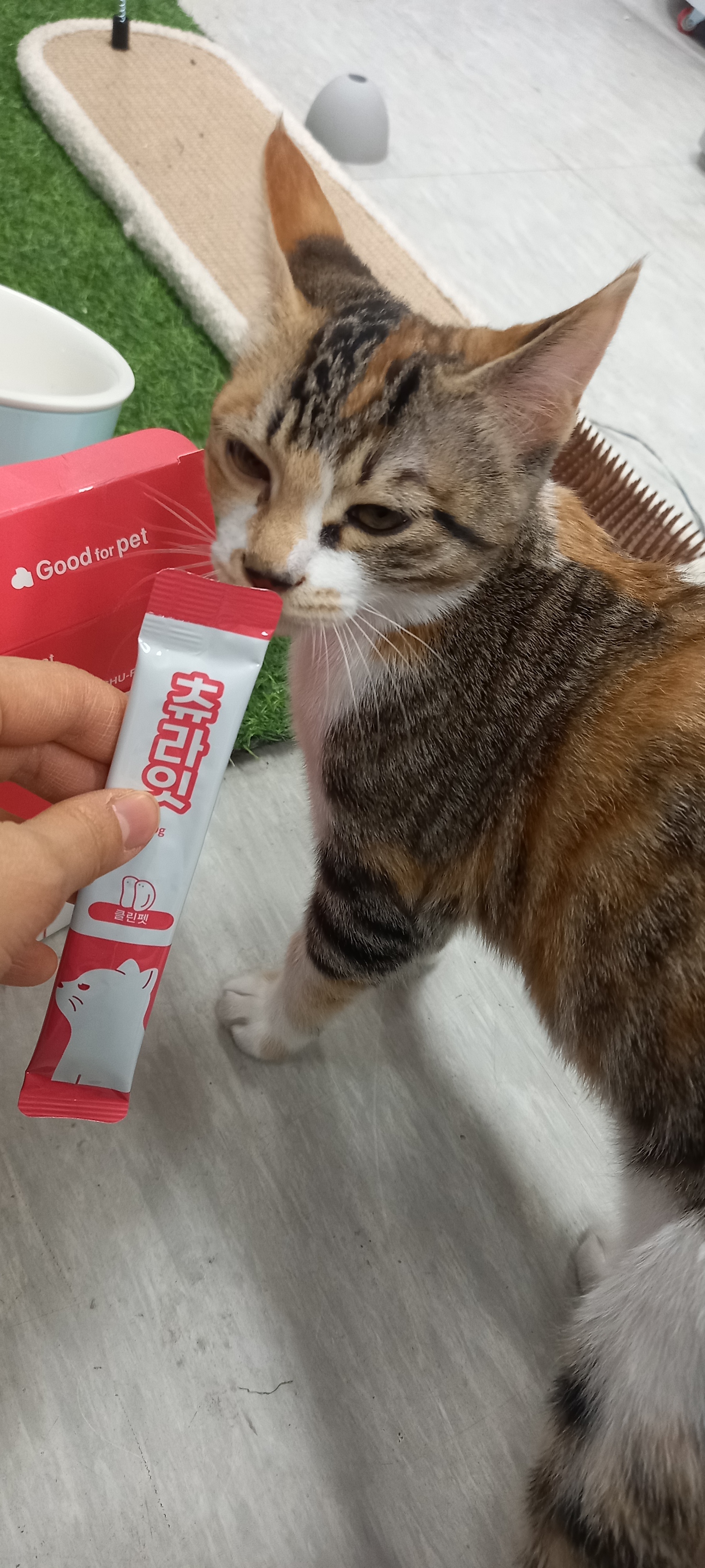 리뷰 이미지