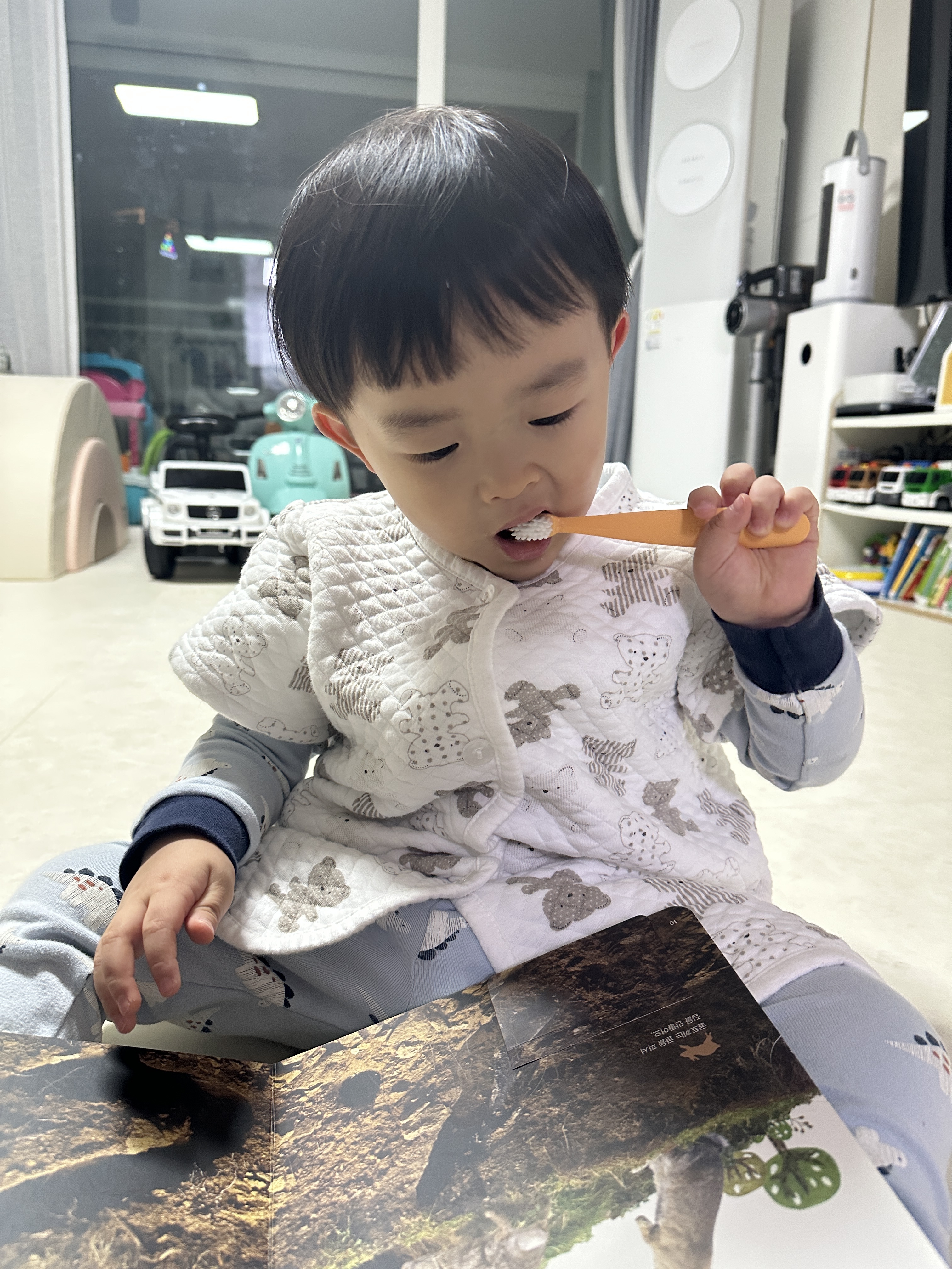 리뷰 이미지