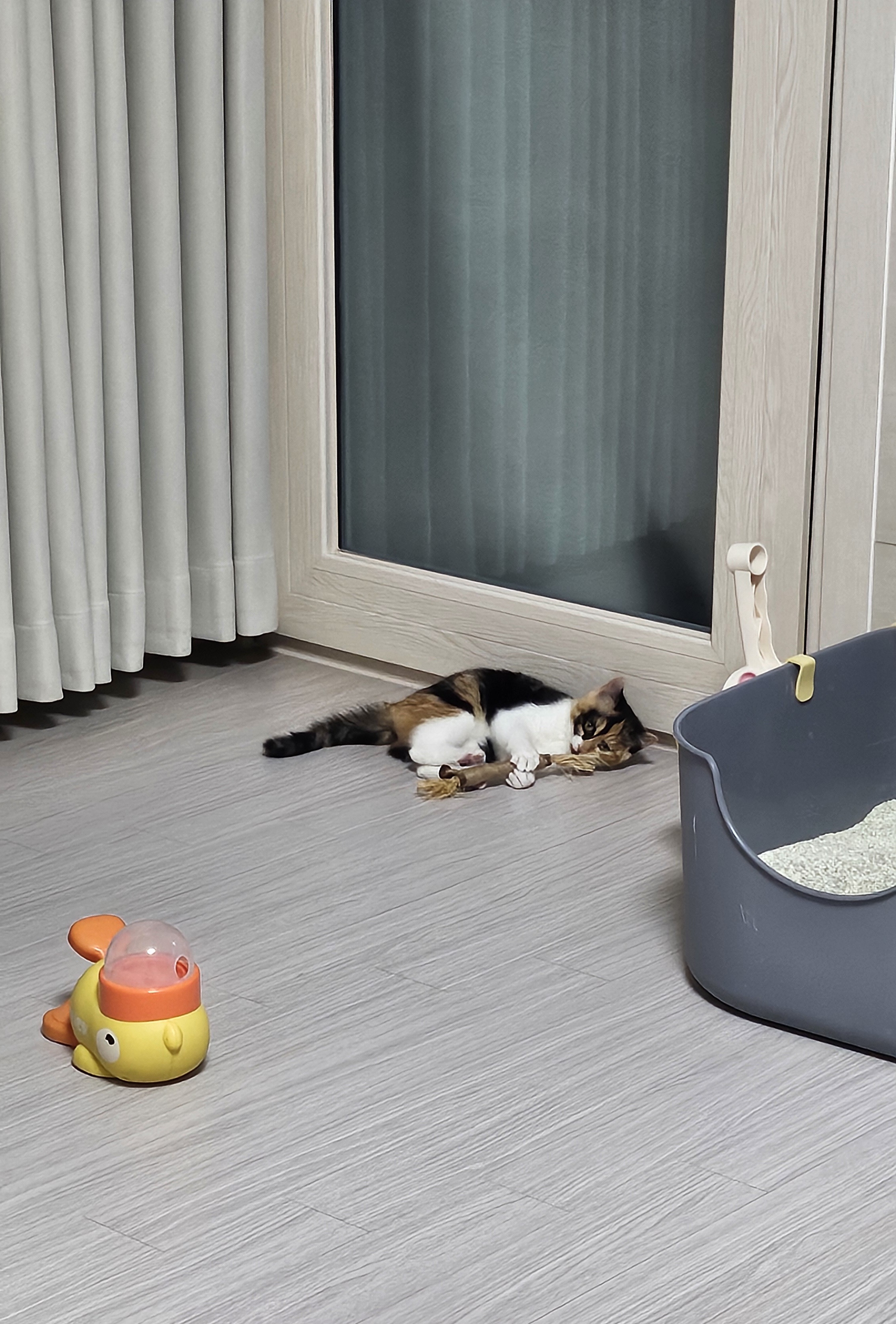 리뷰 이미지