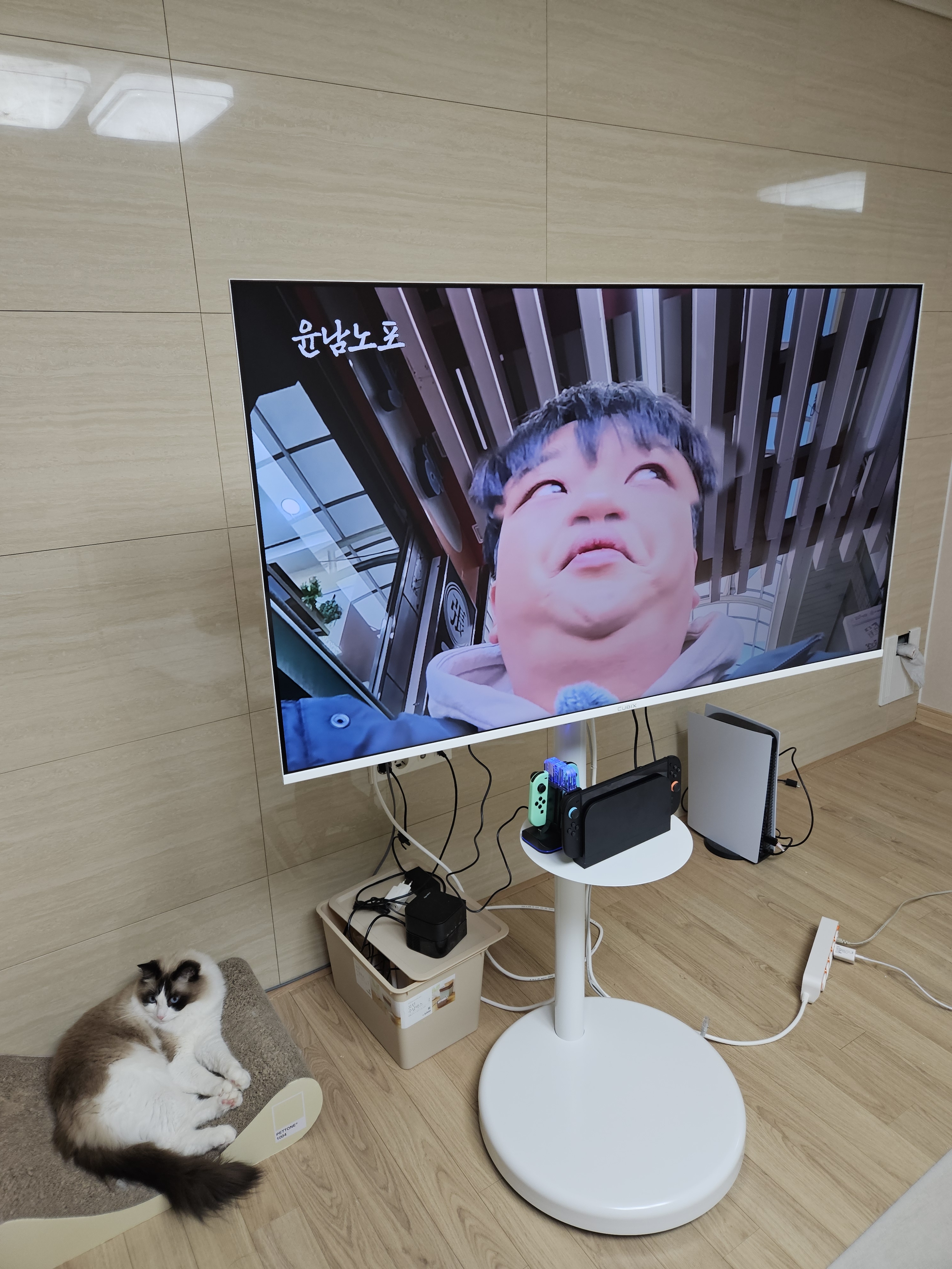 리뷰 이미지