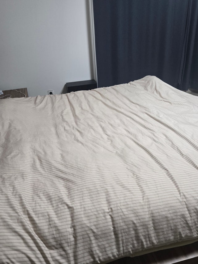 이미지를 찾을 수 없습니다.