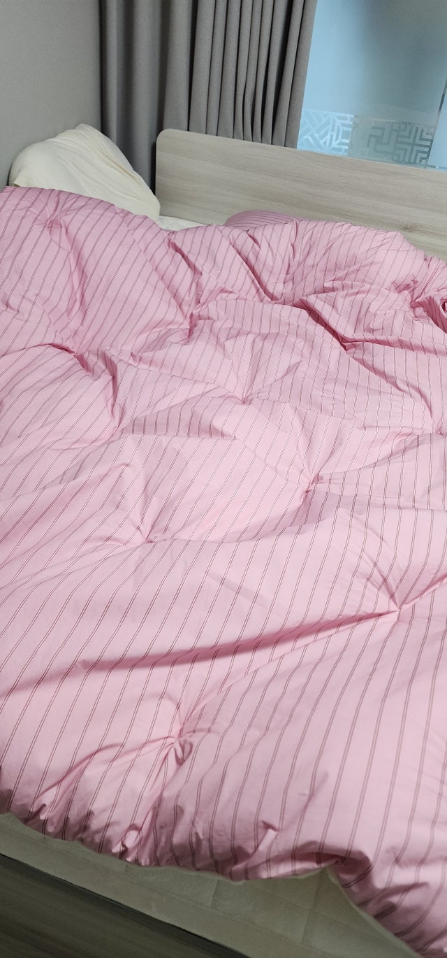 이미지를 찾을 수 없습니다.