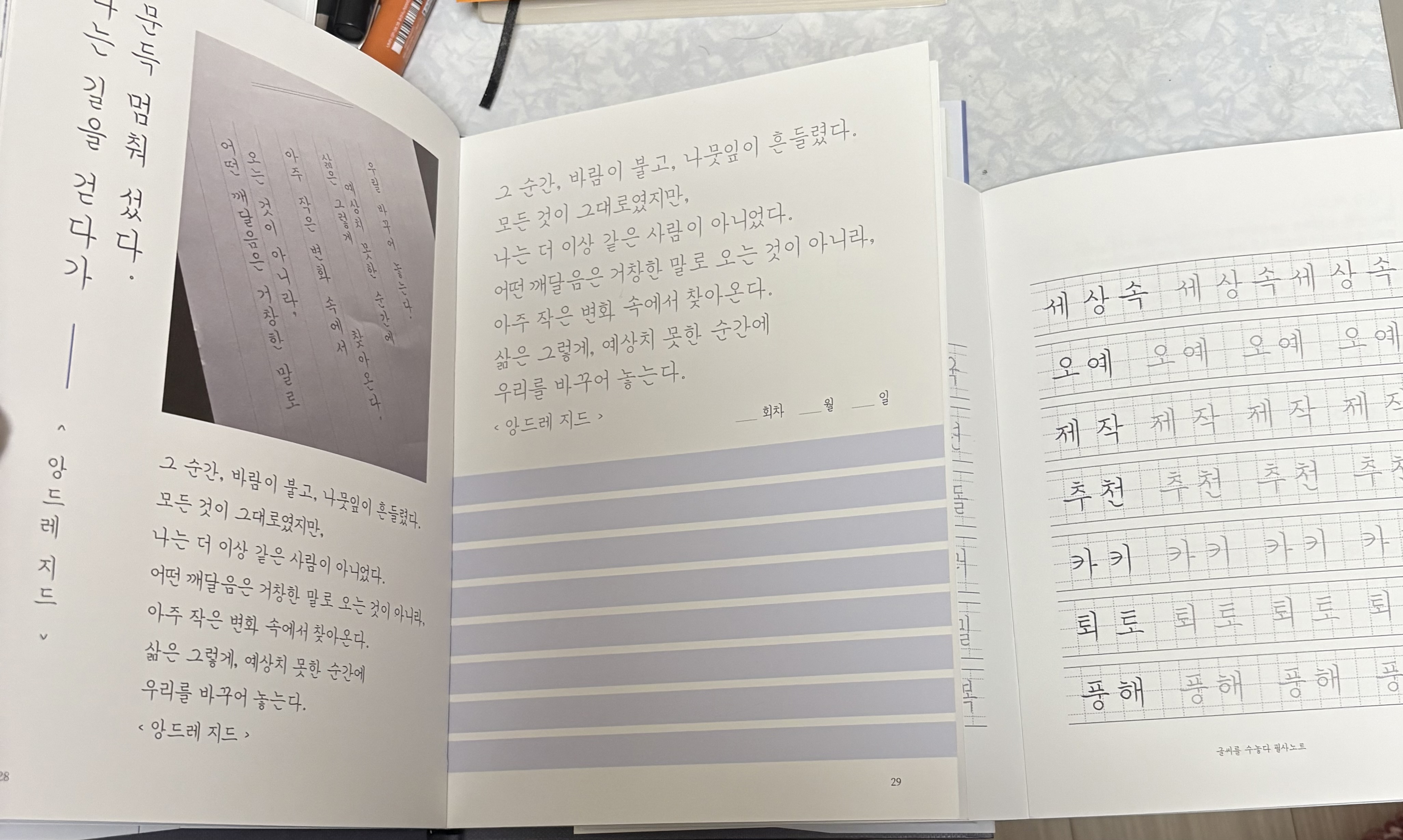 리뷰 이미지