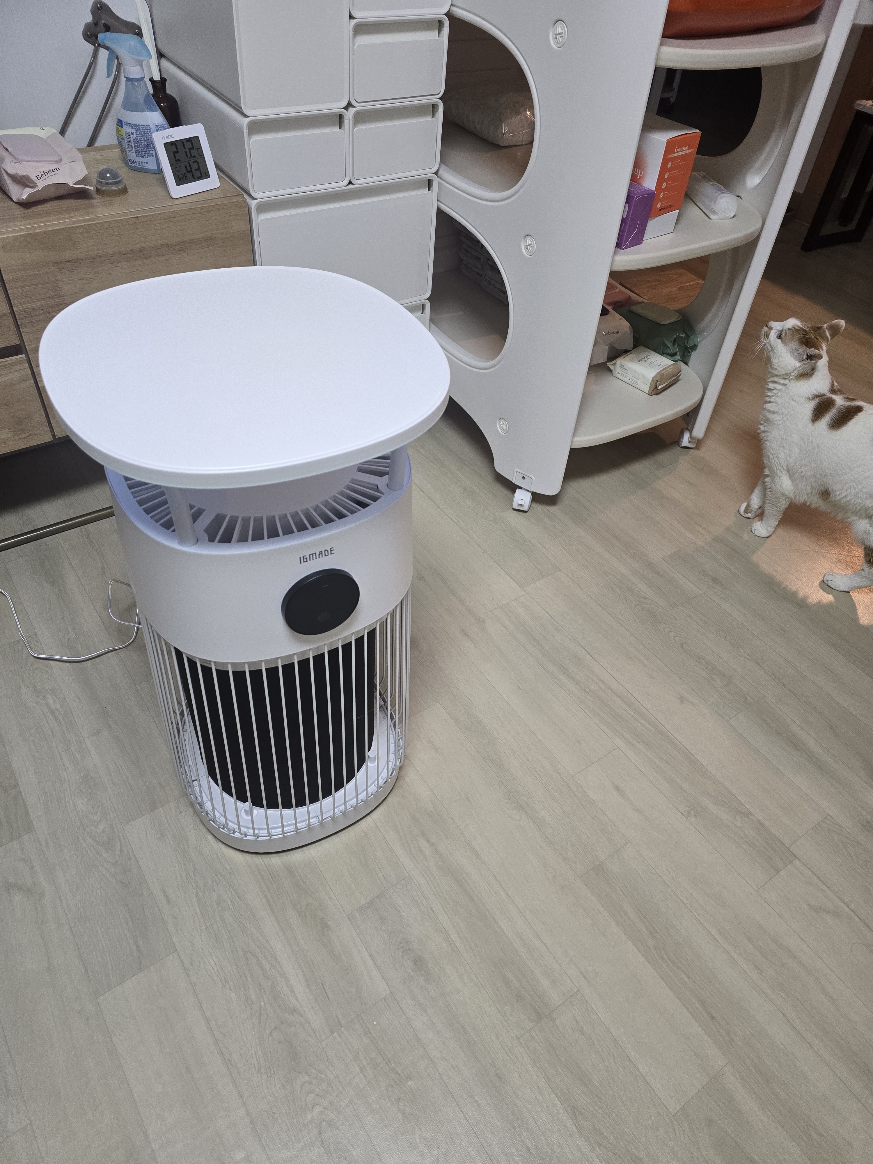 리뷰 이미지