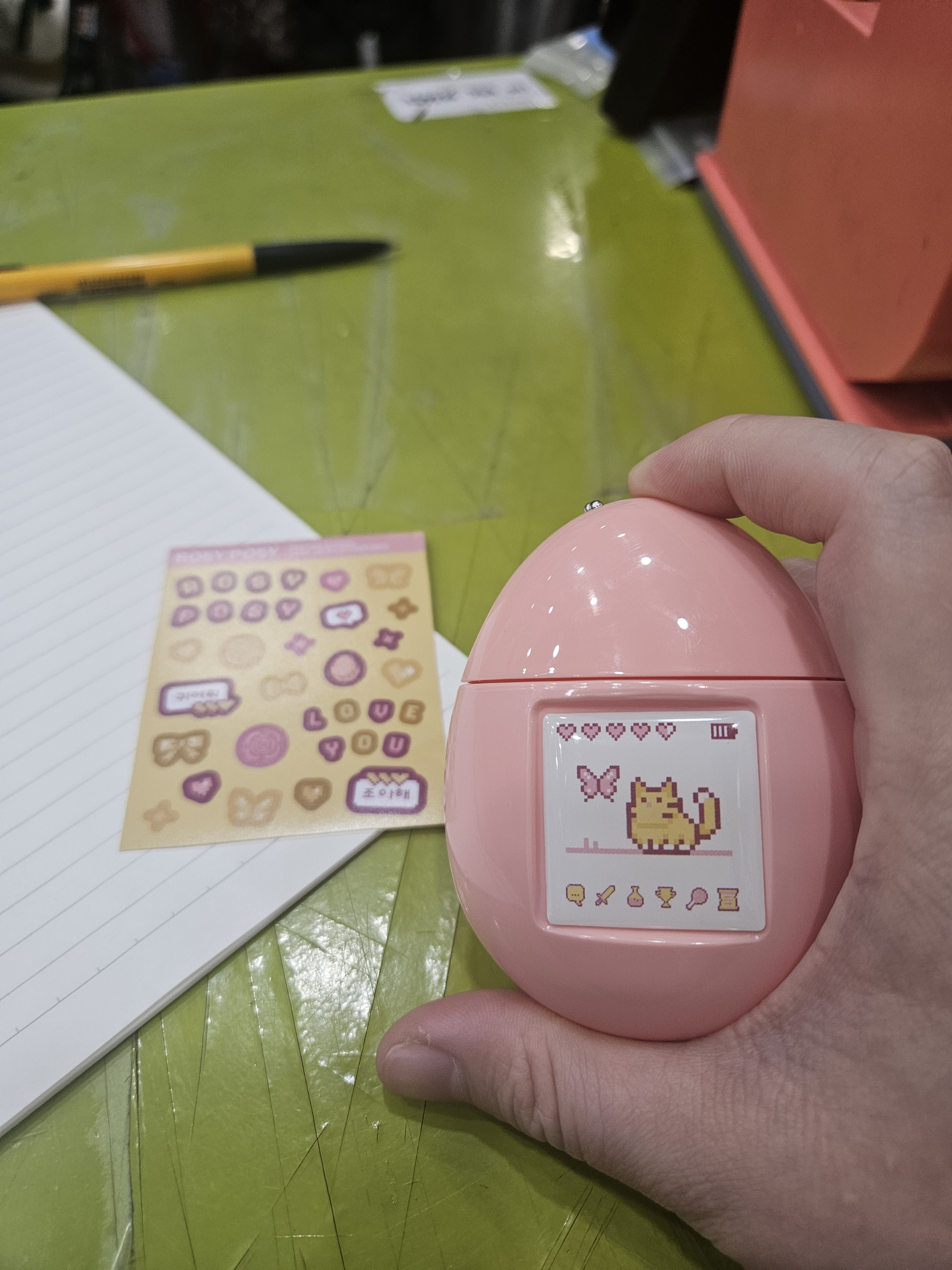 리뷰 이미지