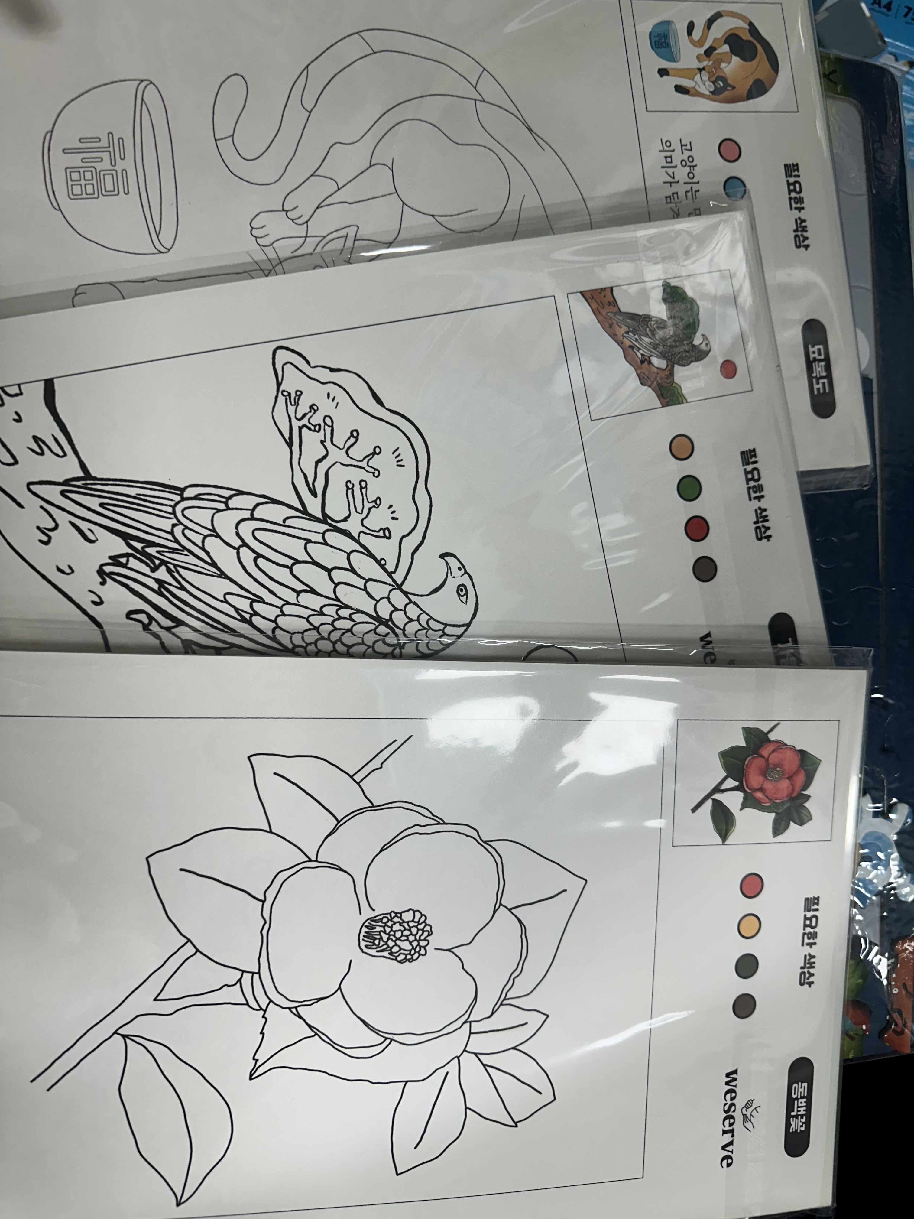 리뷰 이미지