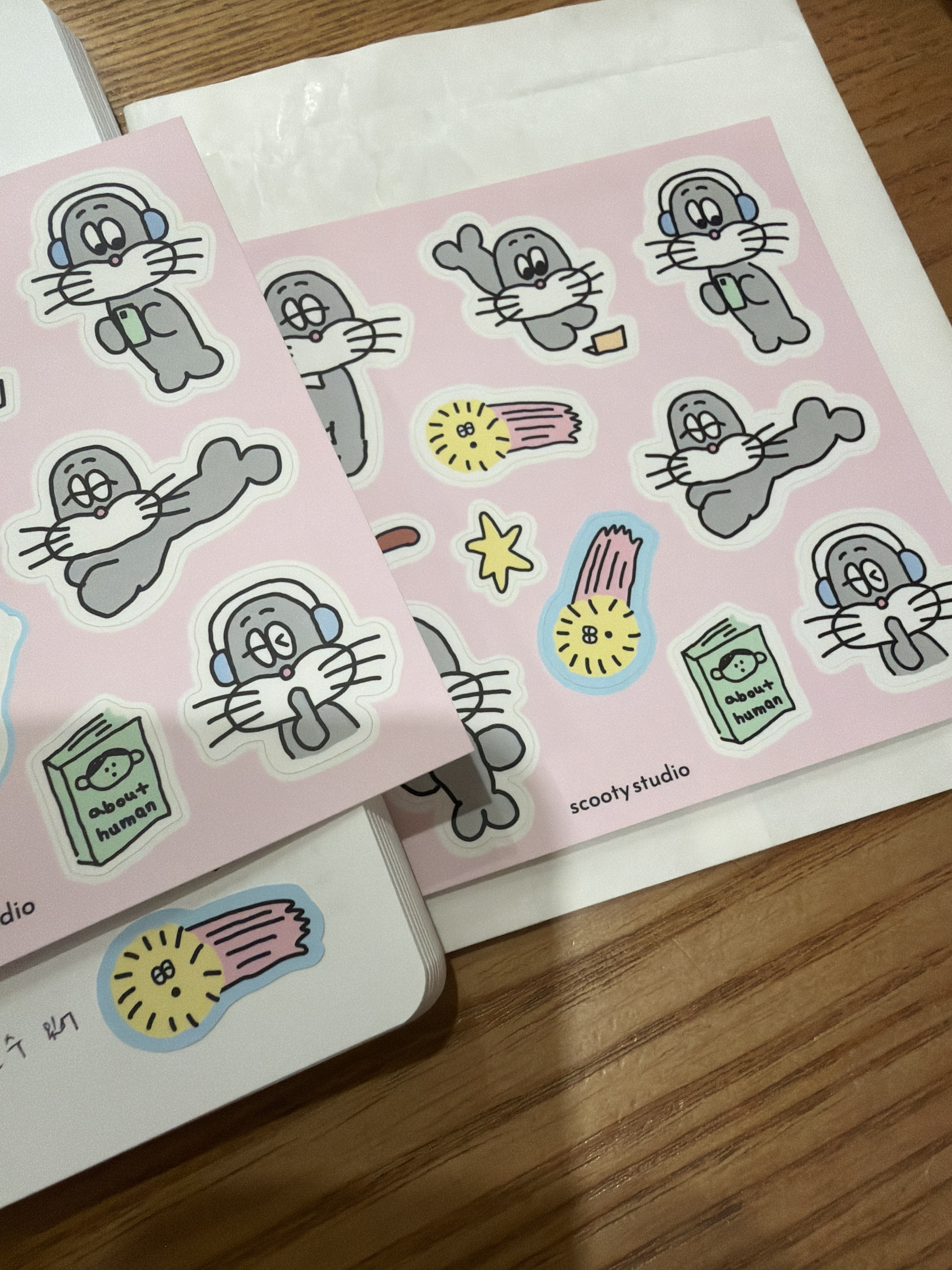 리뷰 이미지