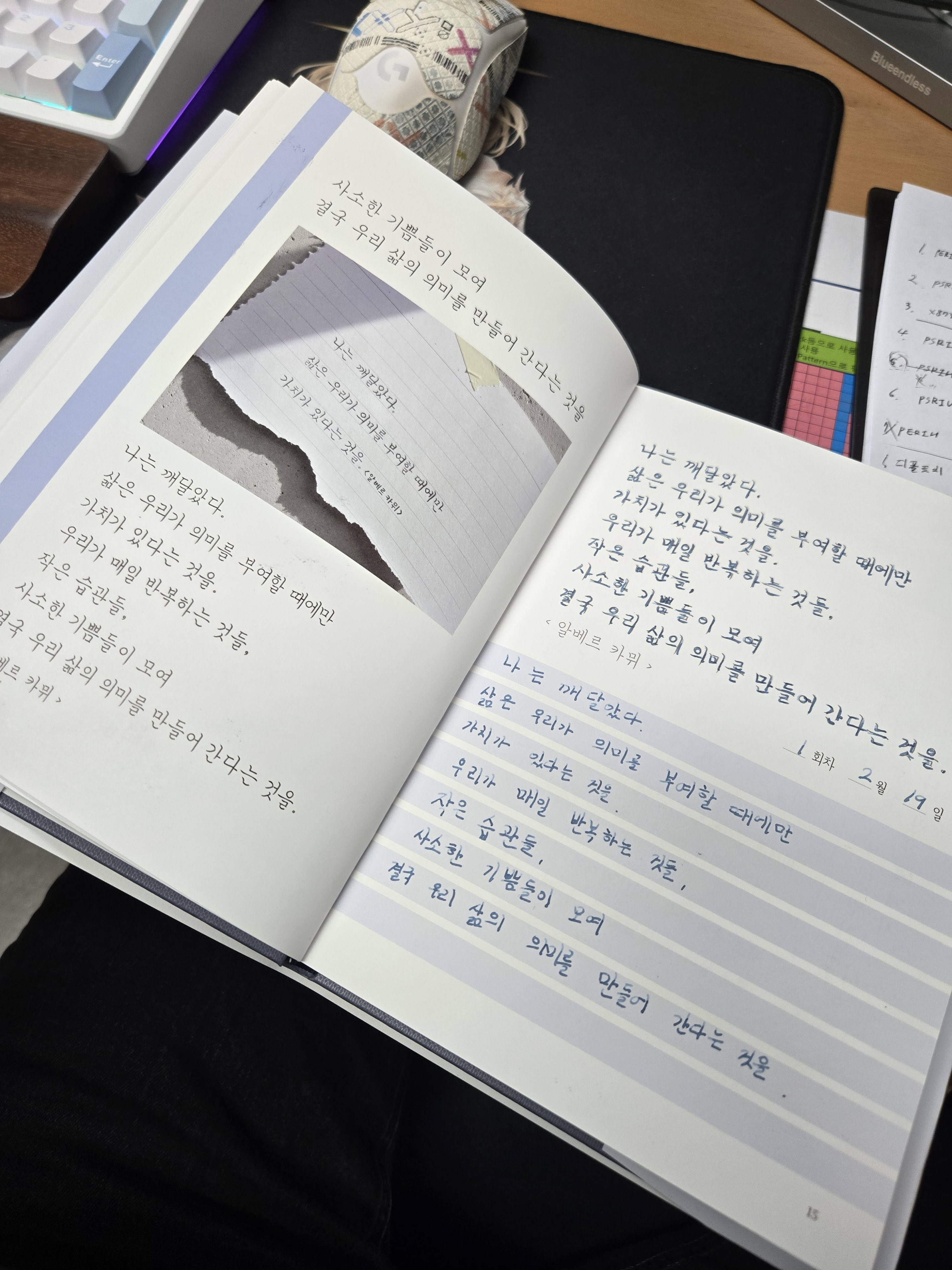 리뷰 이미지