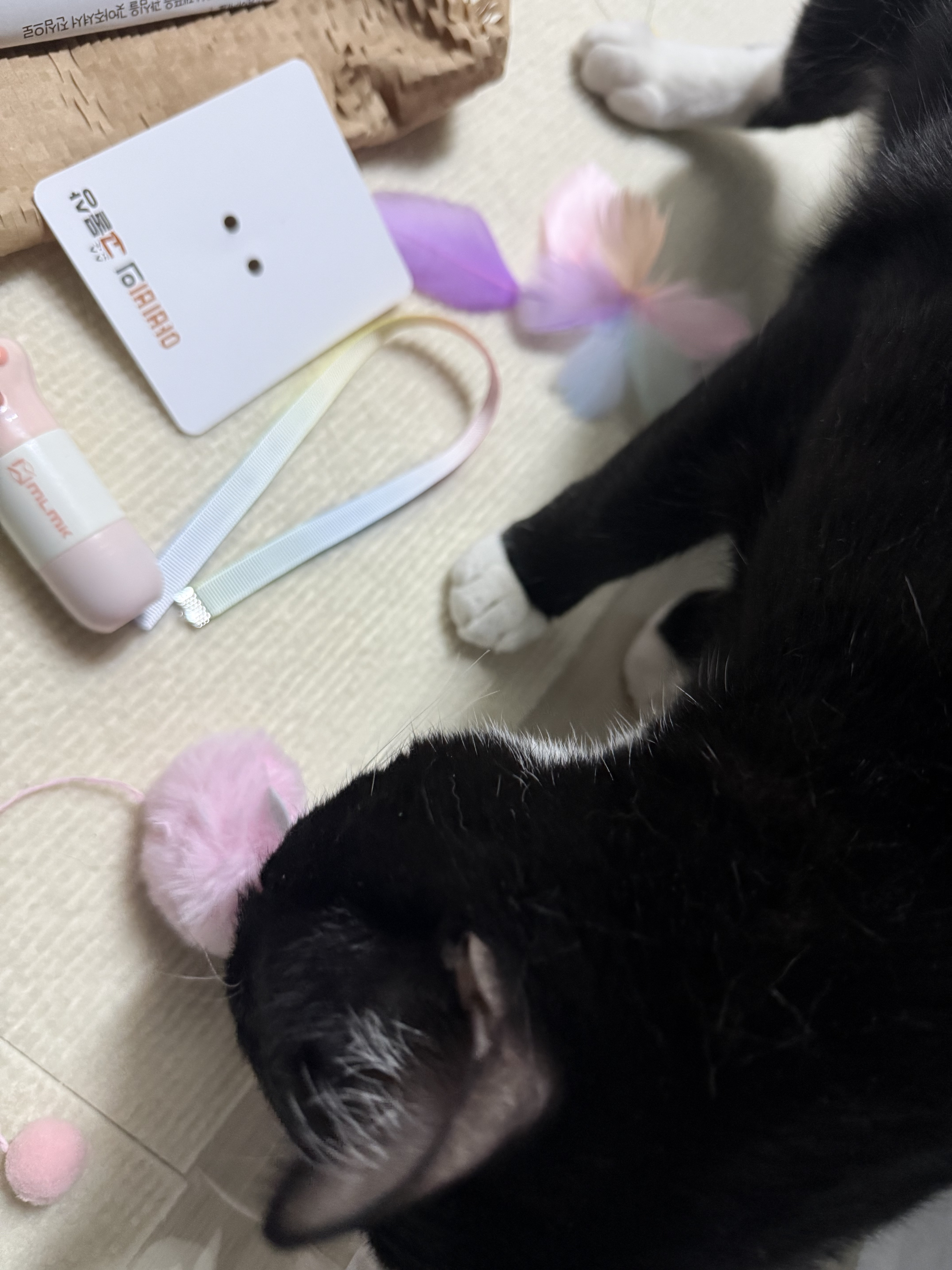리뷰 이미지