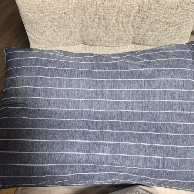 이미지를 찾을 수 없습니다.