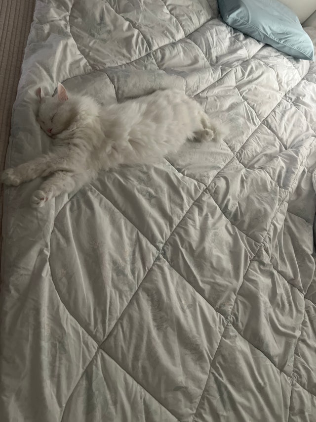 이미지를 찾을 수 없습니다.