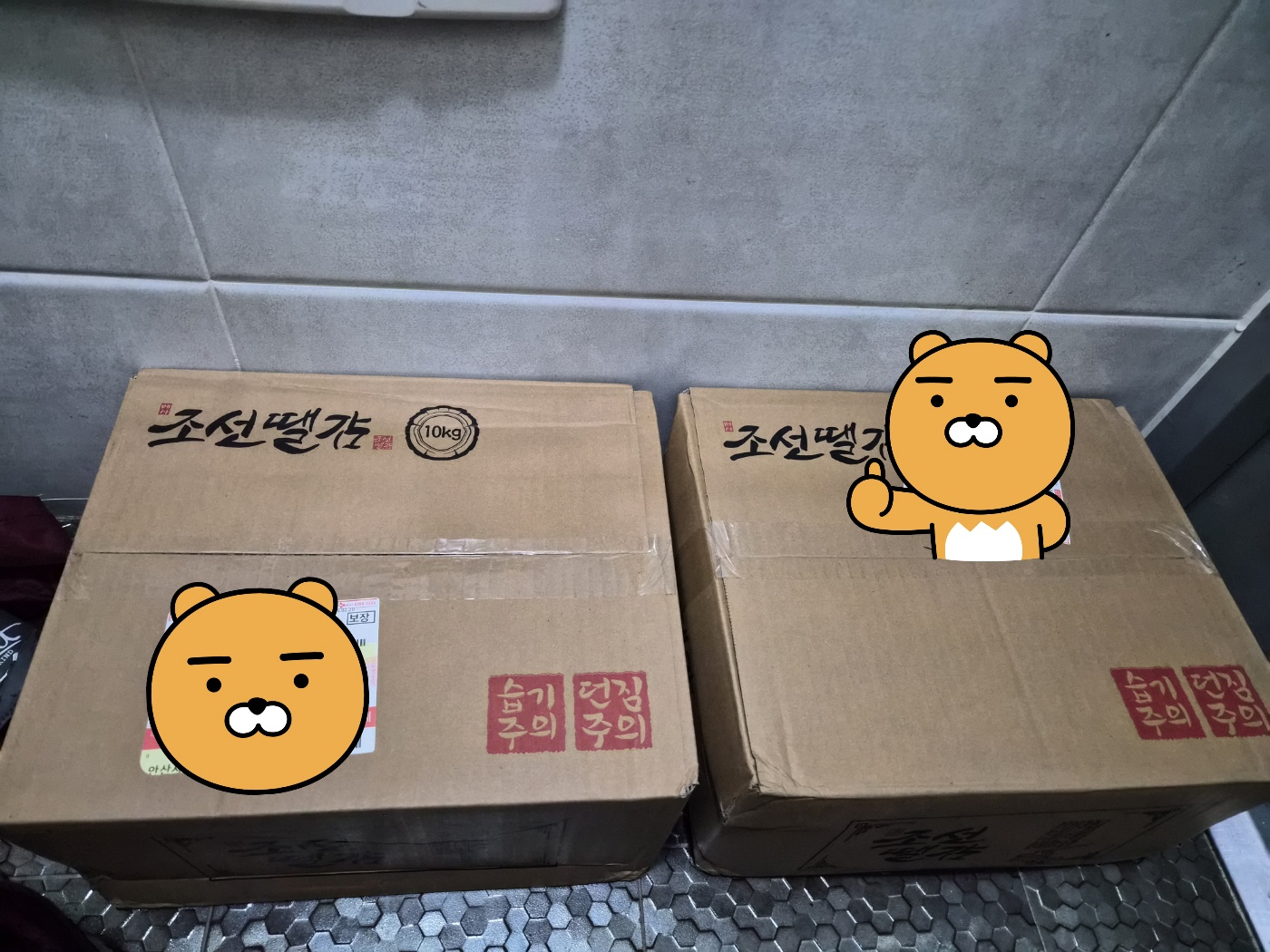 리뷰 이미지