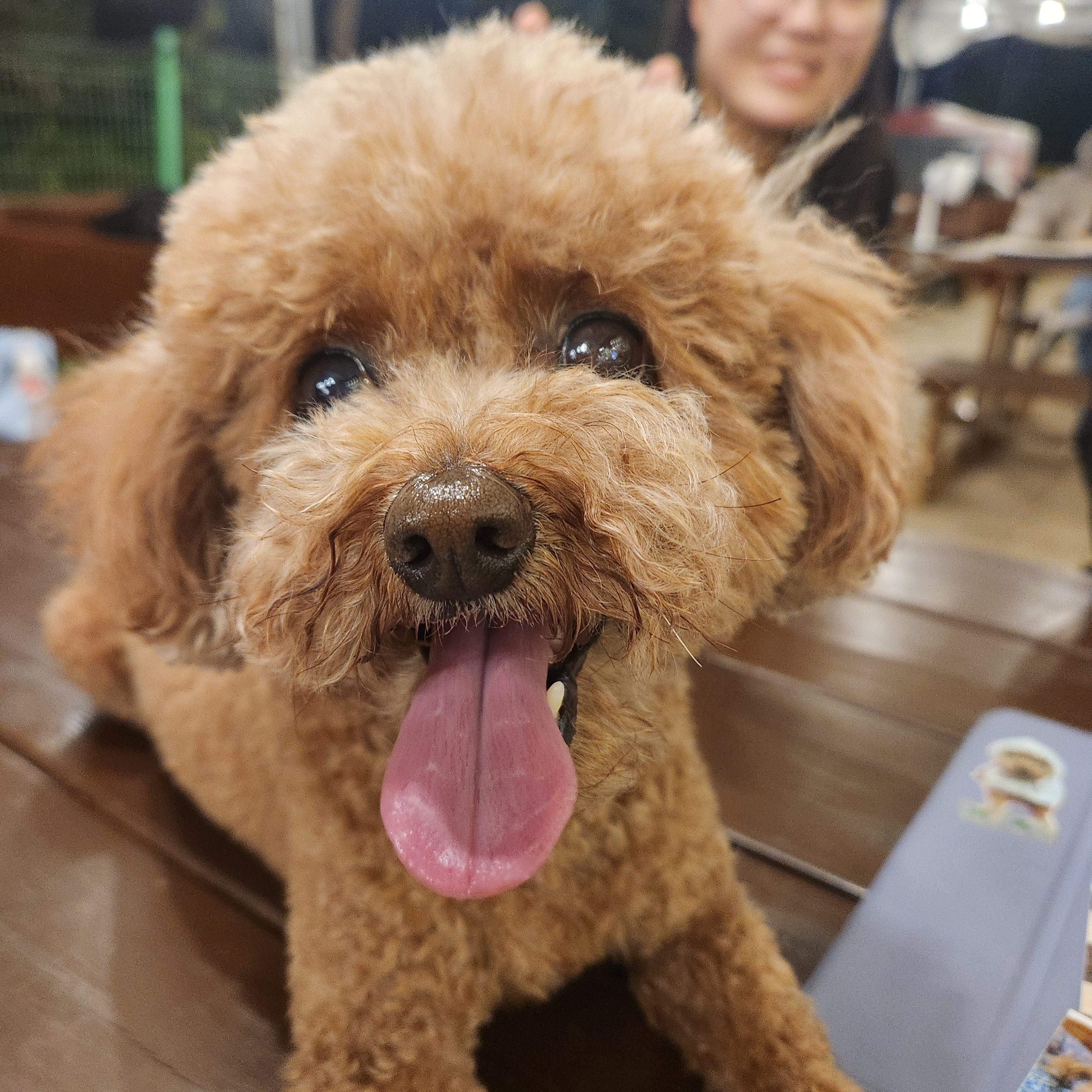 리뷰 이미지