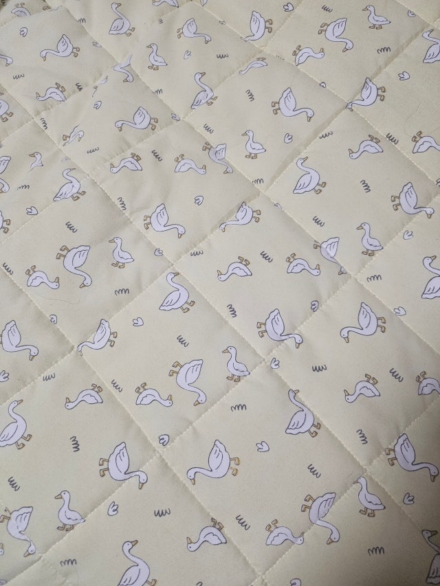 이미지를 찾을 수 없습니다.