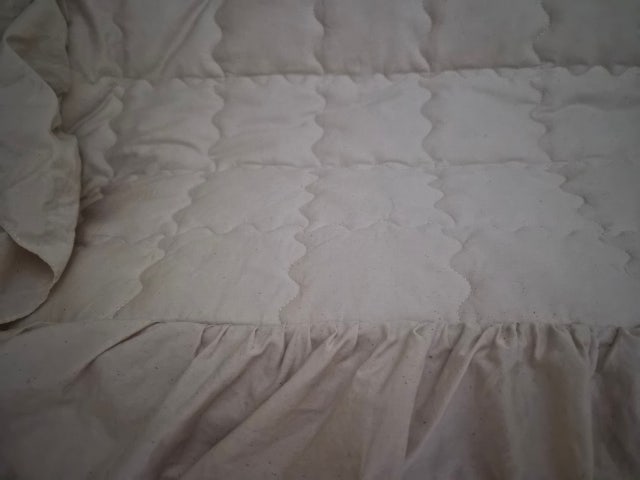 이미지를 찾을 수 없습니다.