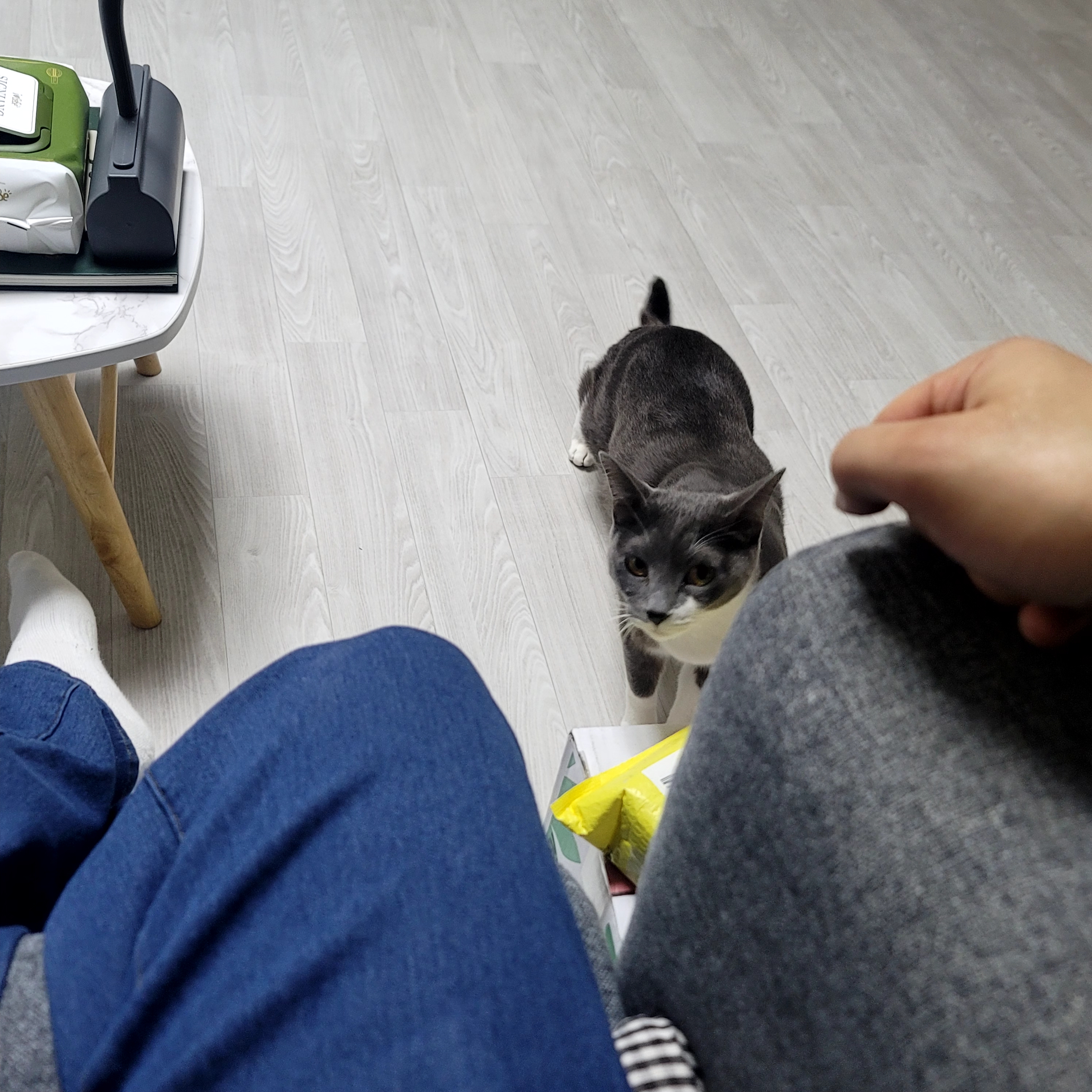 리뷰 이미지