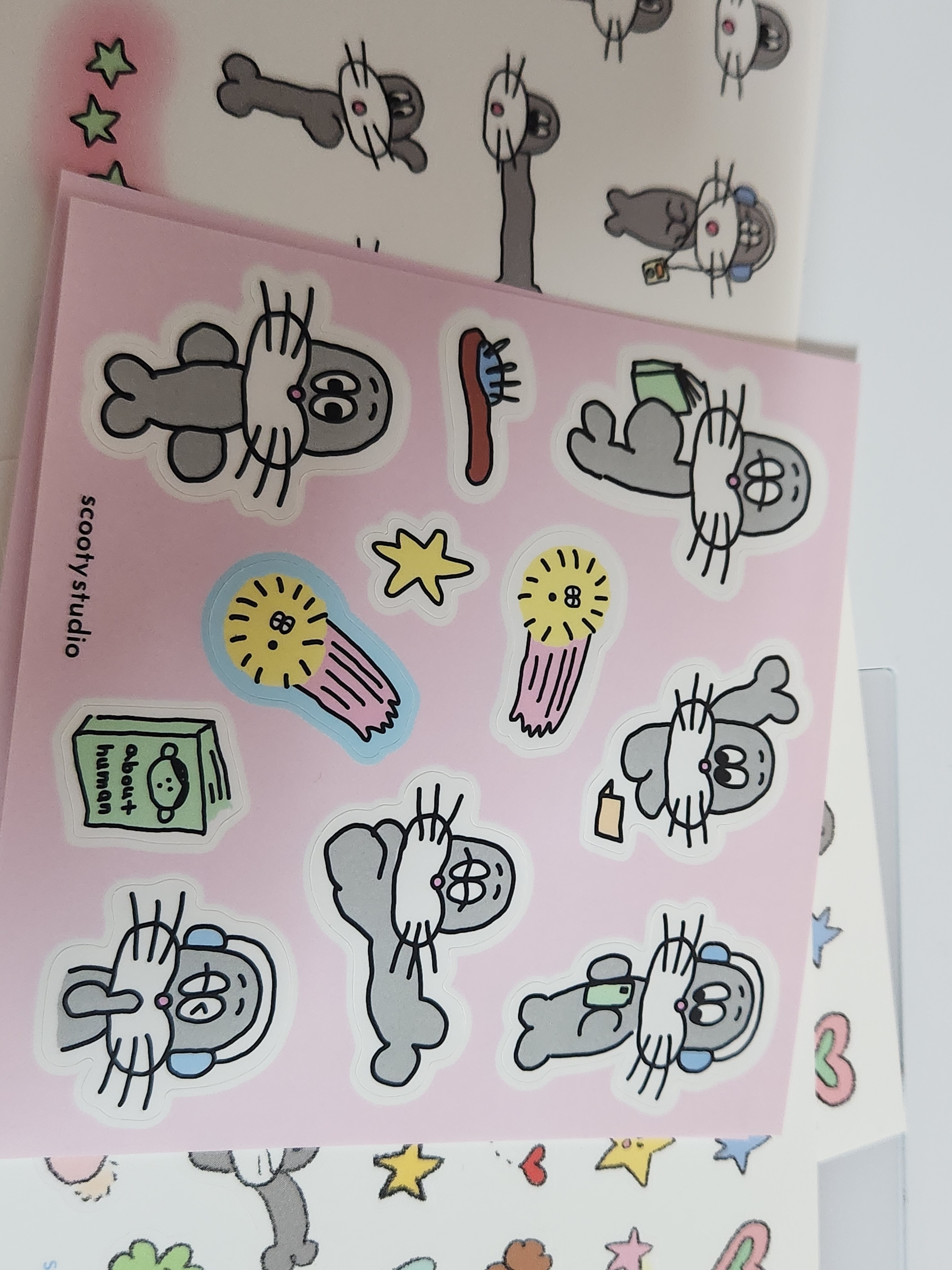 리뷰 이미지