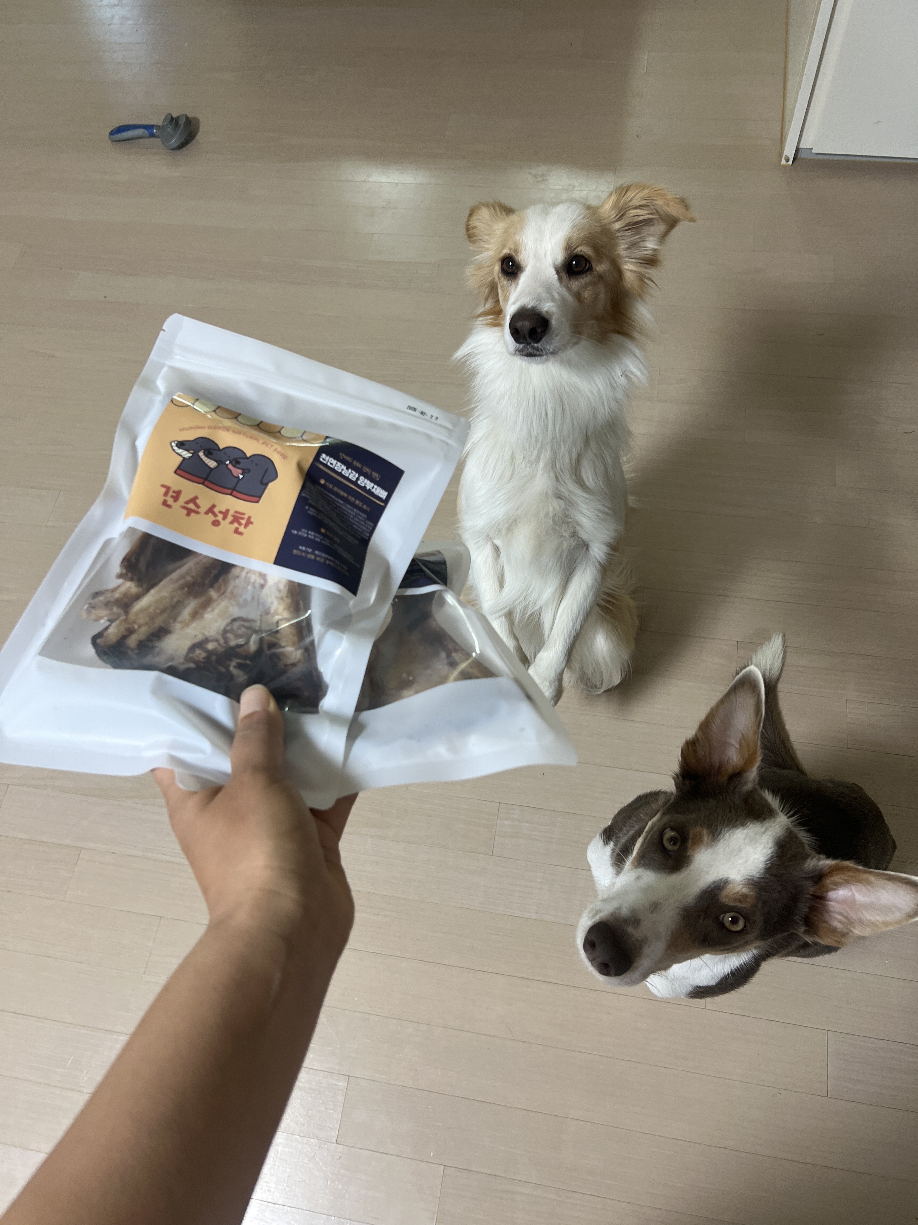 리뷰 이미지