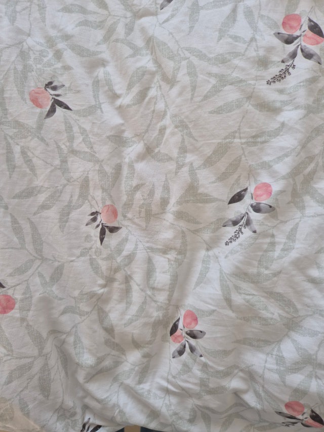 이미지를 찾을 수 없습니다.