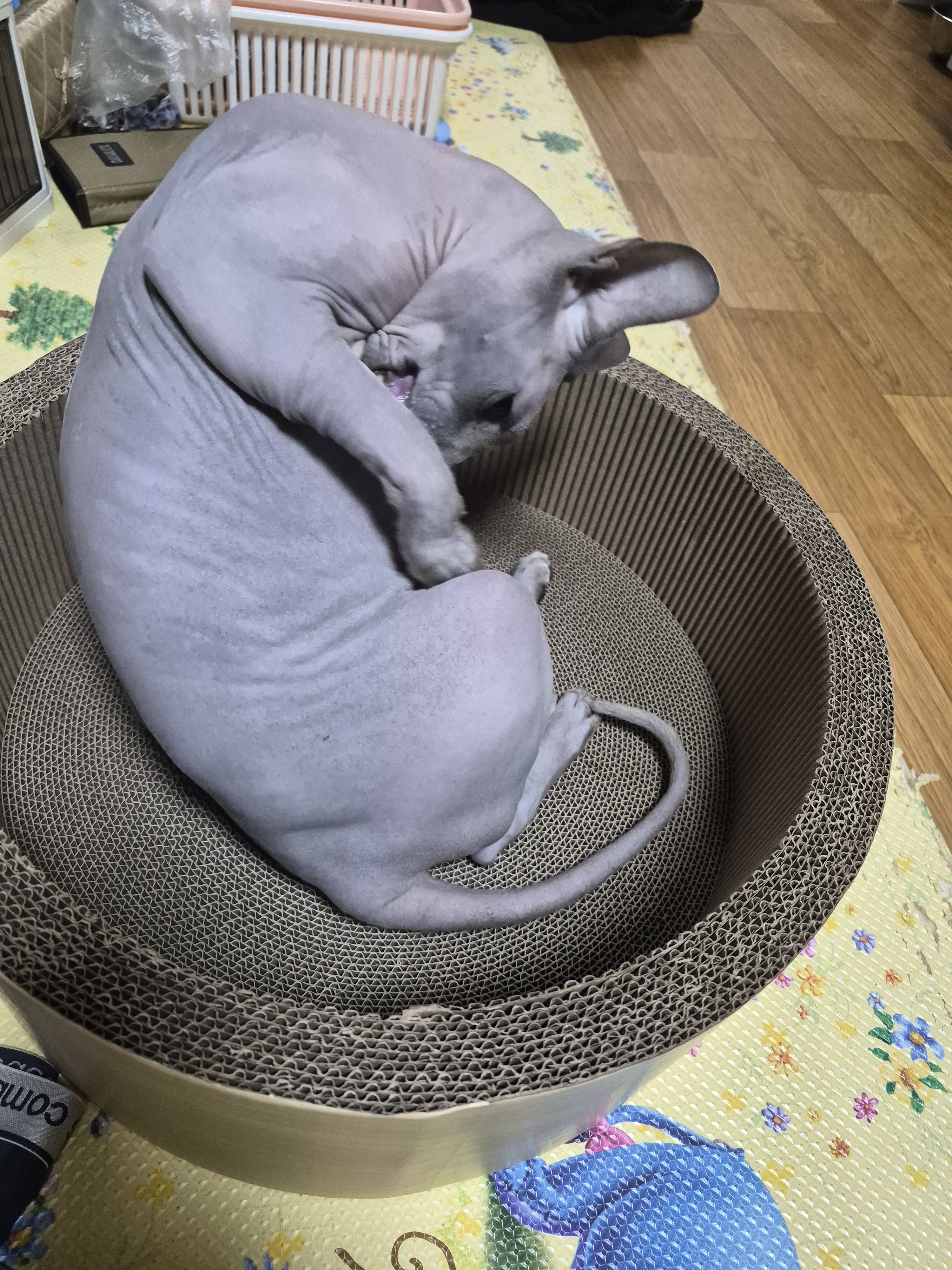 리뷰 이미지