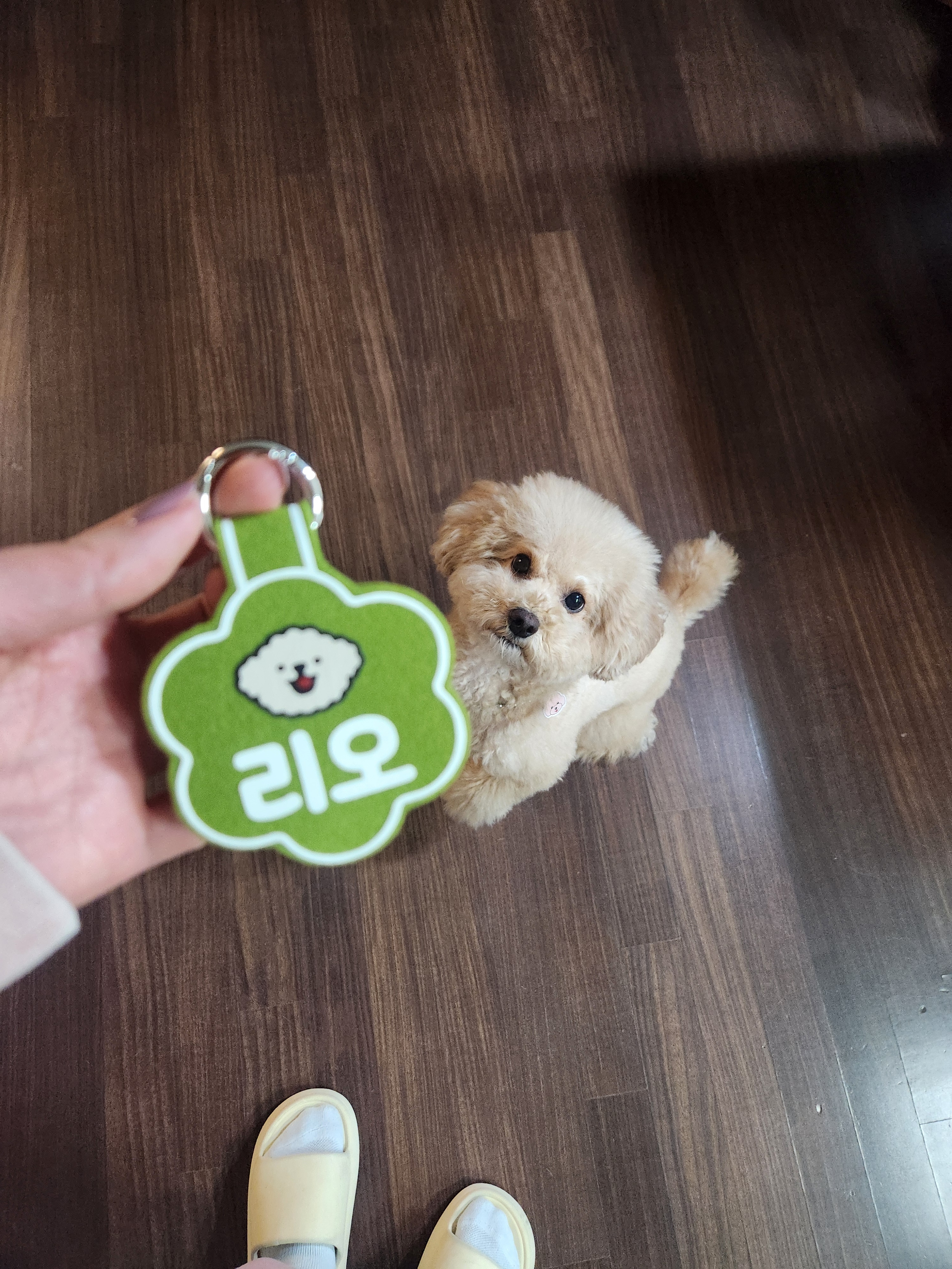 리뷰 이미지