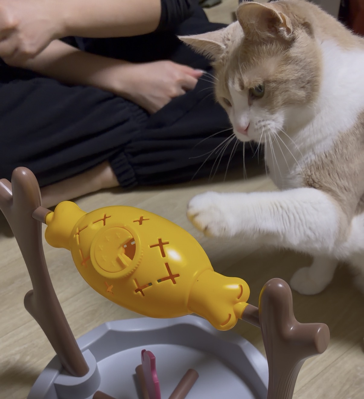 리뷰 이미지