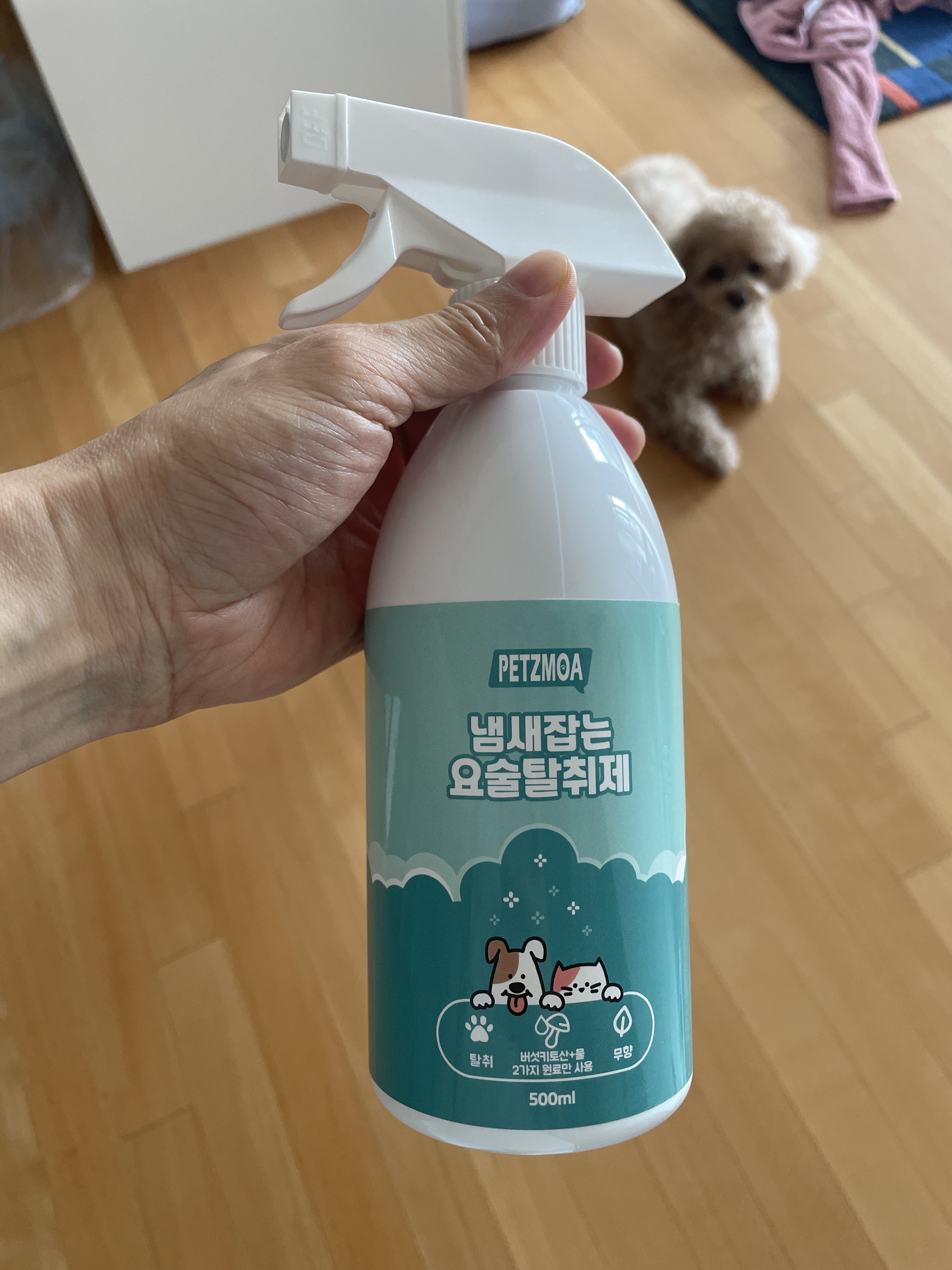 리뷰 이미지