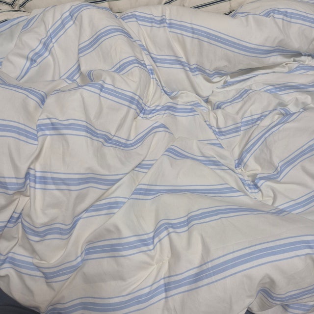 이미지를 찾을 수 없습니다.