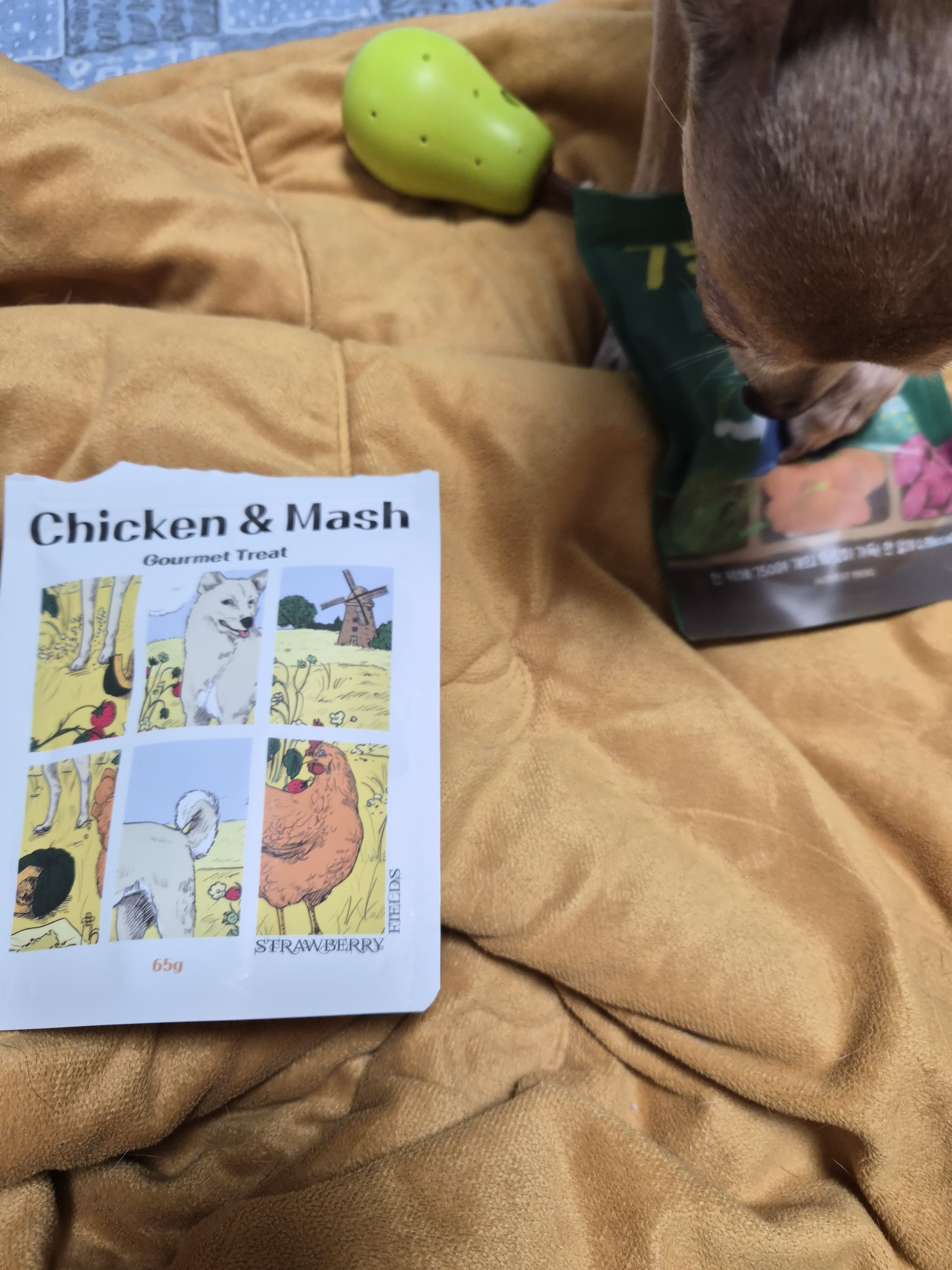 리뷰 이미지