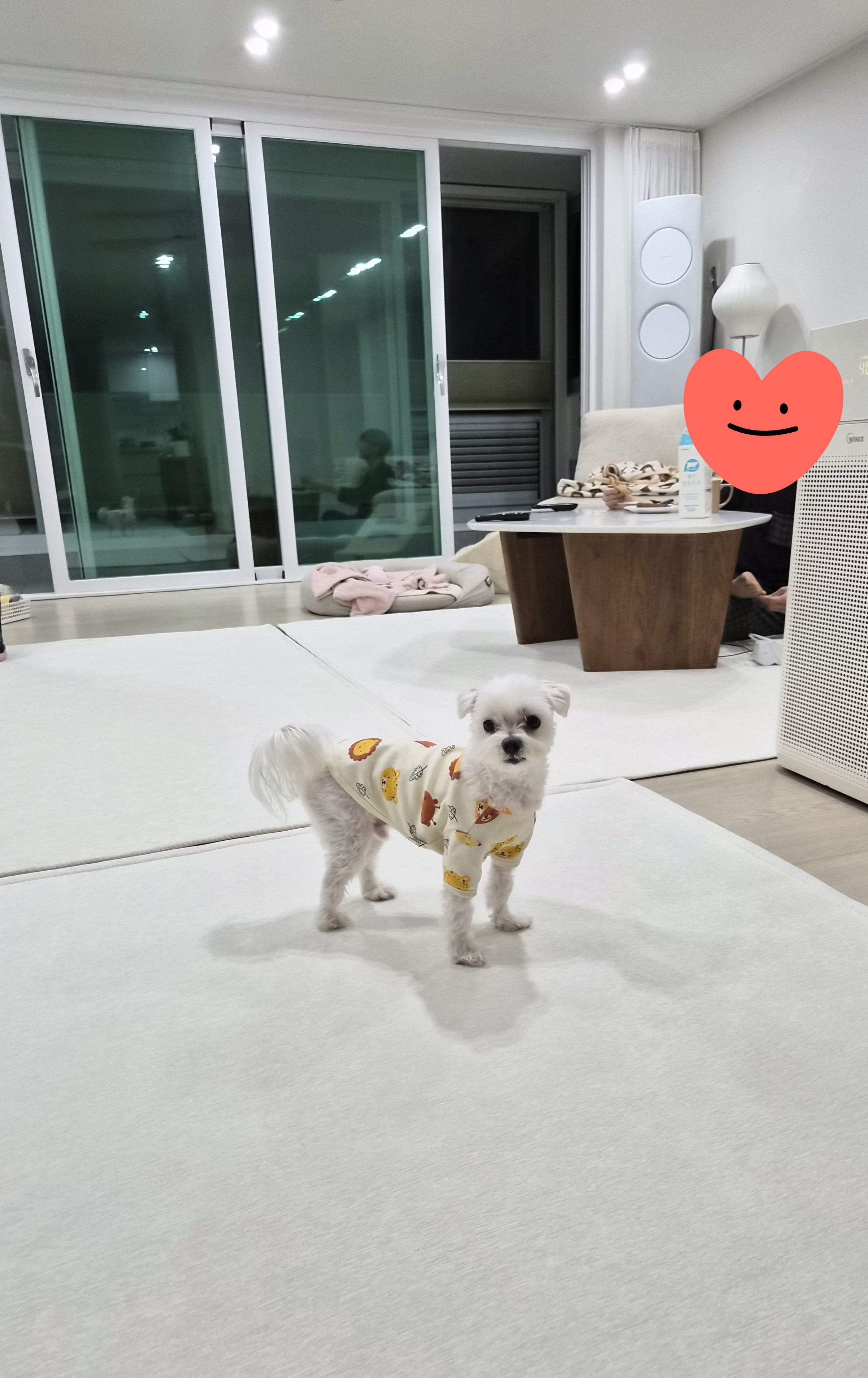 리뷰 이미지