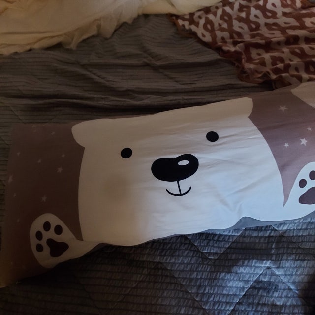 이미지를 찾을 수 없습니다.