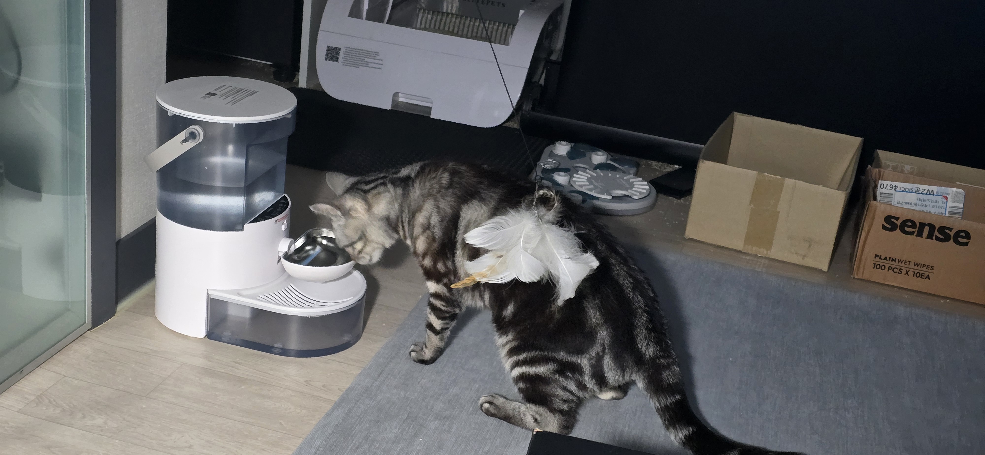 리뷰 이미지