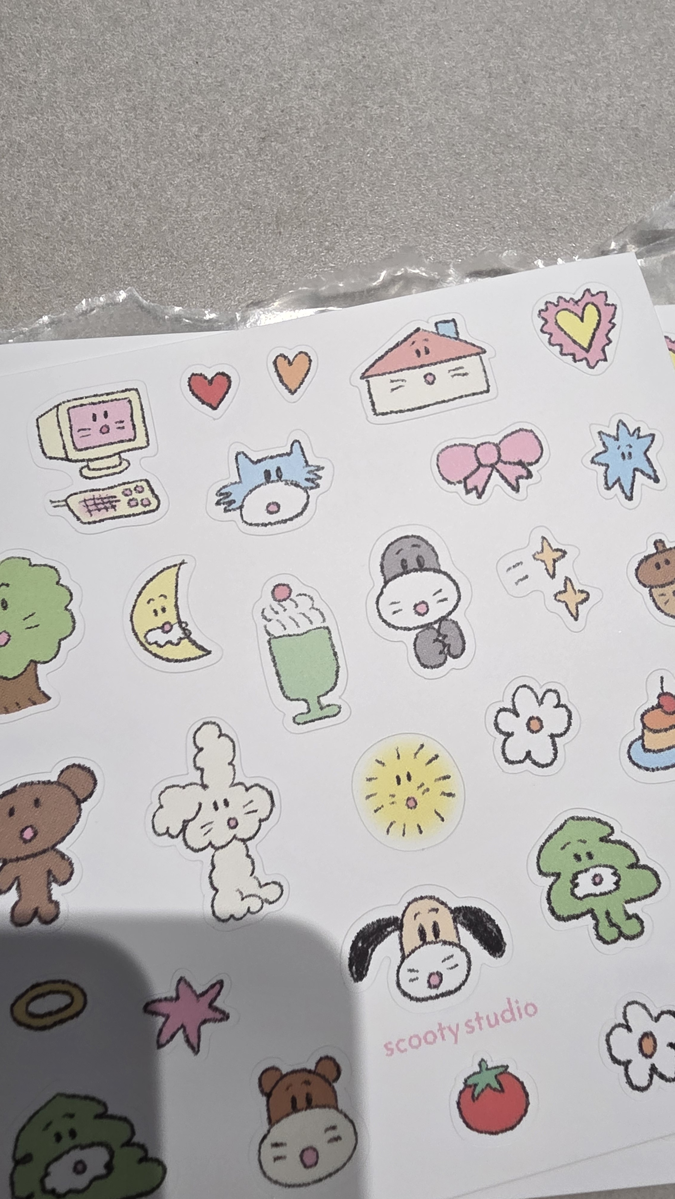 리뷰 이미지