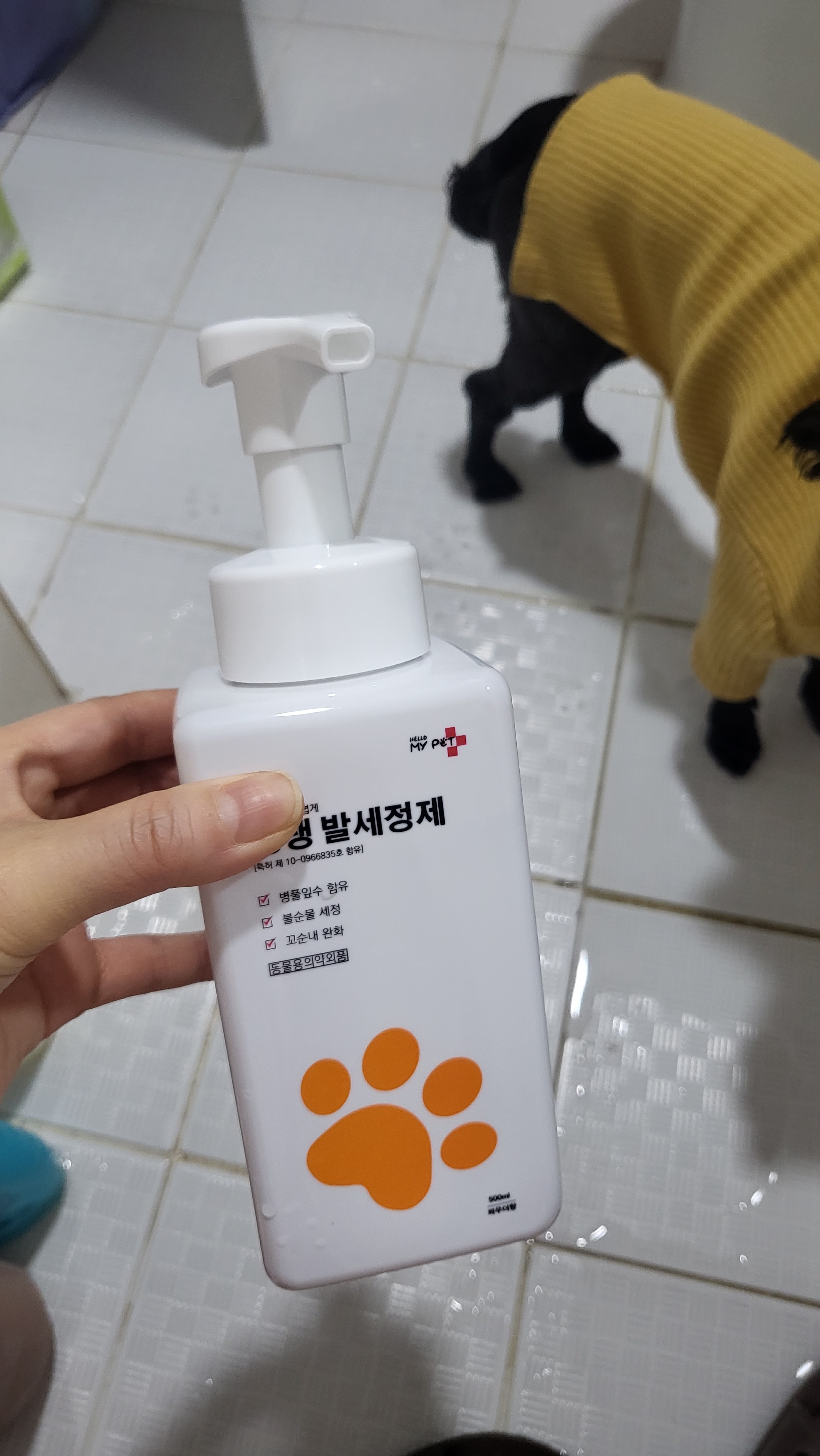 리뷰 이미지