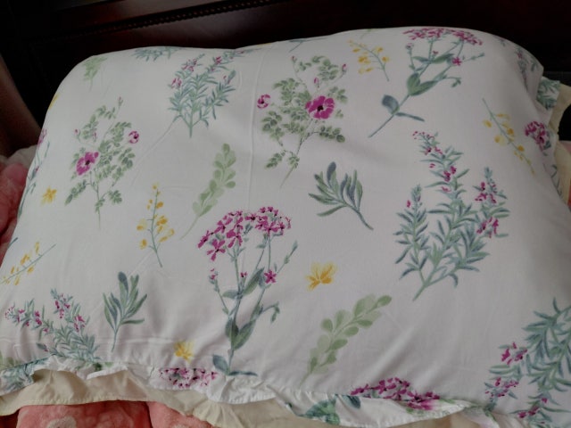 이미지를 찾을 수 없습니다.