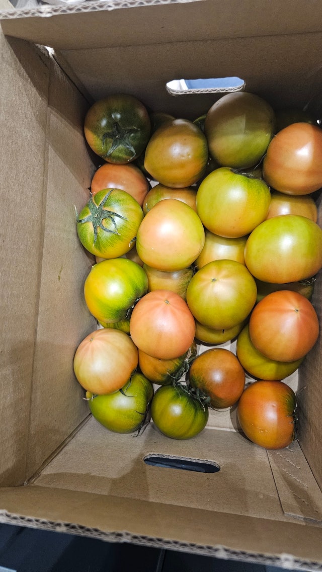 1000031959.jpg?type=w640