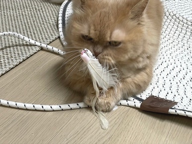 리뷰 이미지