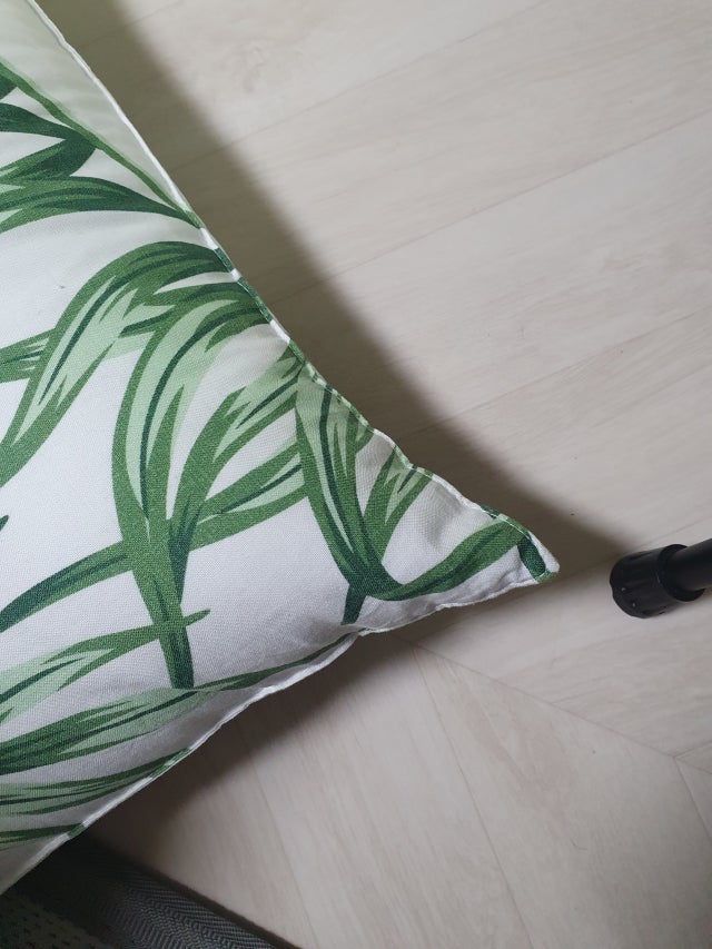 이미지를 찾을 수 없습니다.