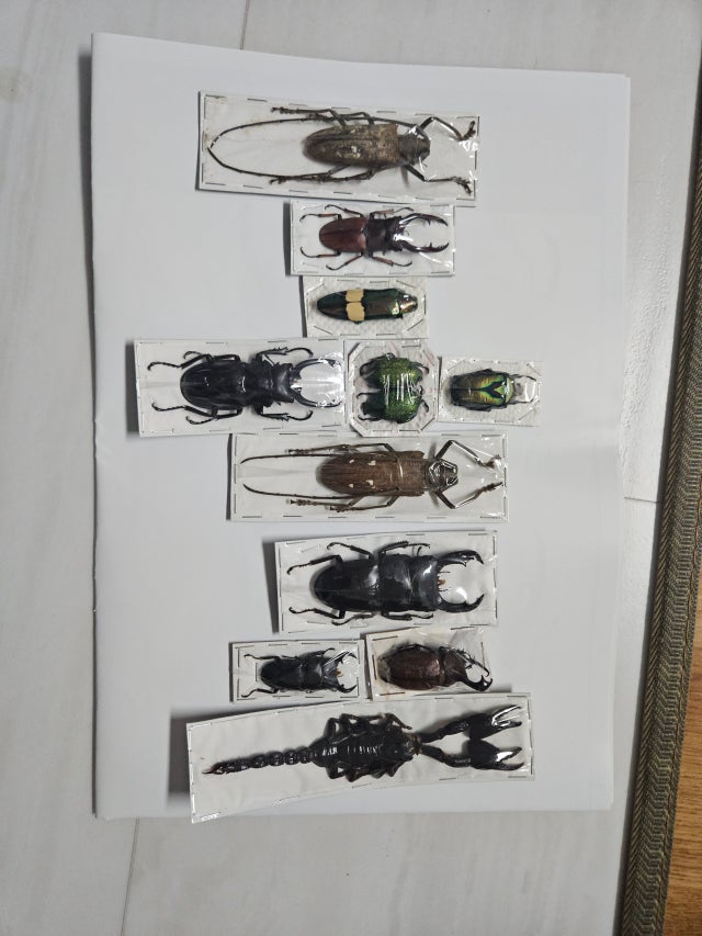 17733517806734129589974419770391.jpg?type=w640