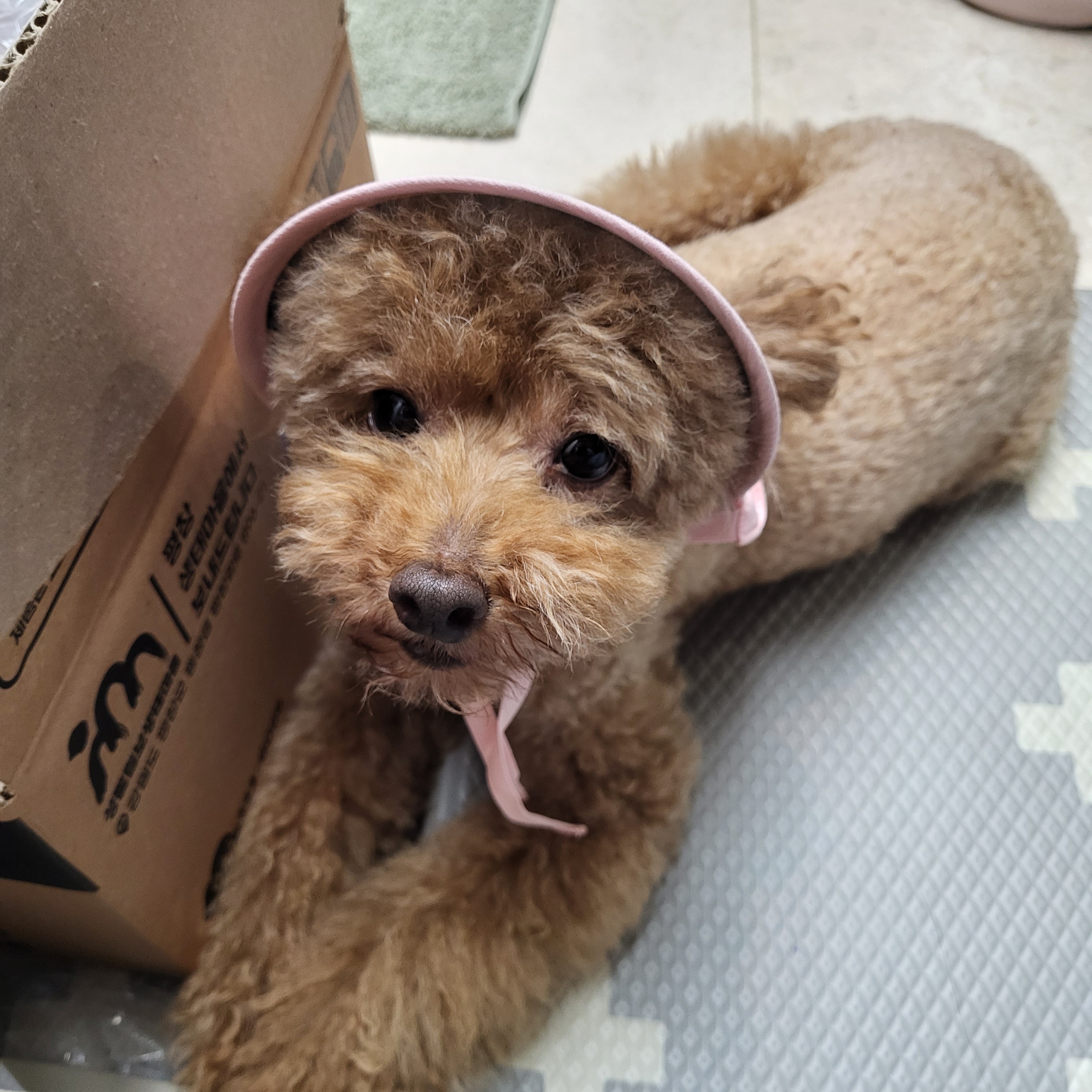 리뷰 이미지