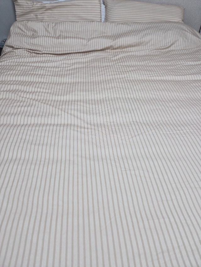 이미지를 찾을 수 없습니다.