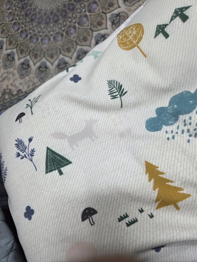 이미지를 찾을 수 없습니다.