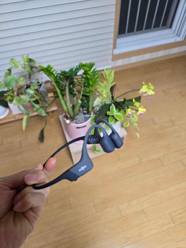 1000071818.jpg?type=w640