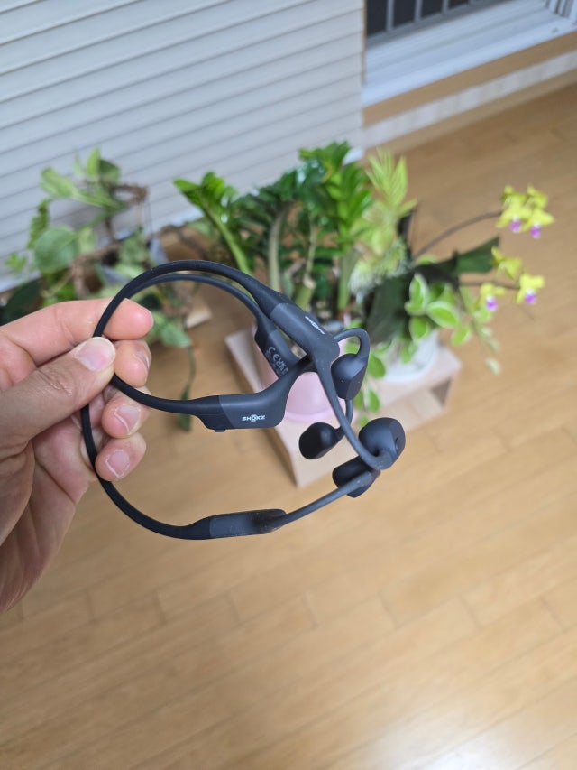 1000071819.jpg?type=w640