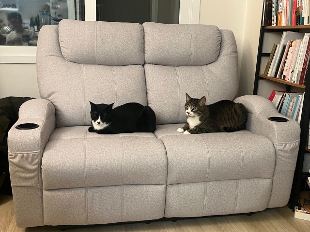 IMG_9387.jpeg?type=w640