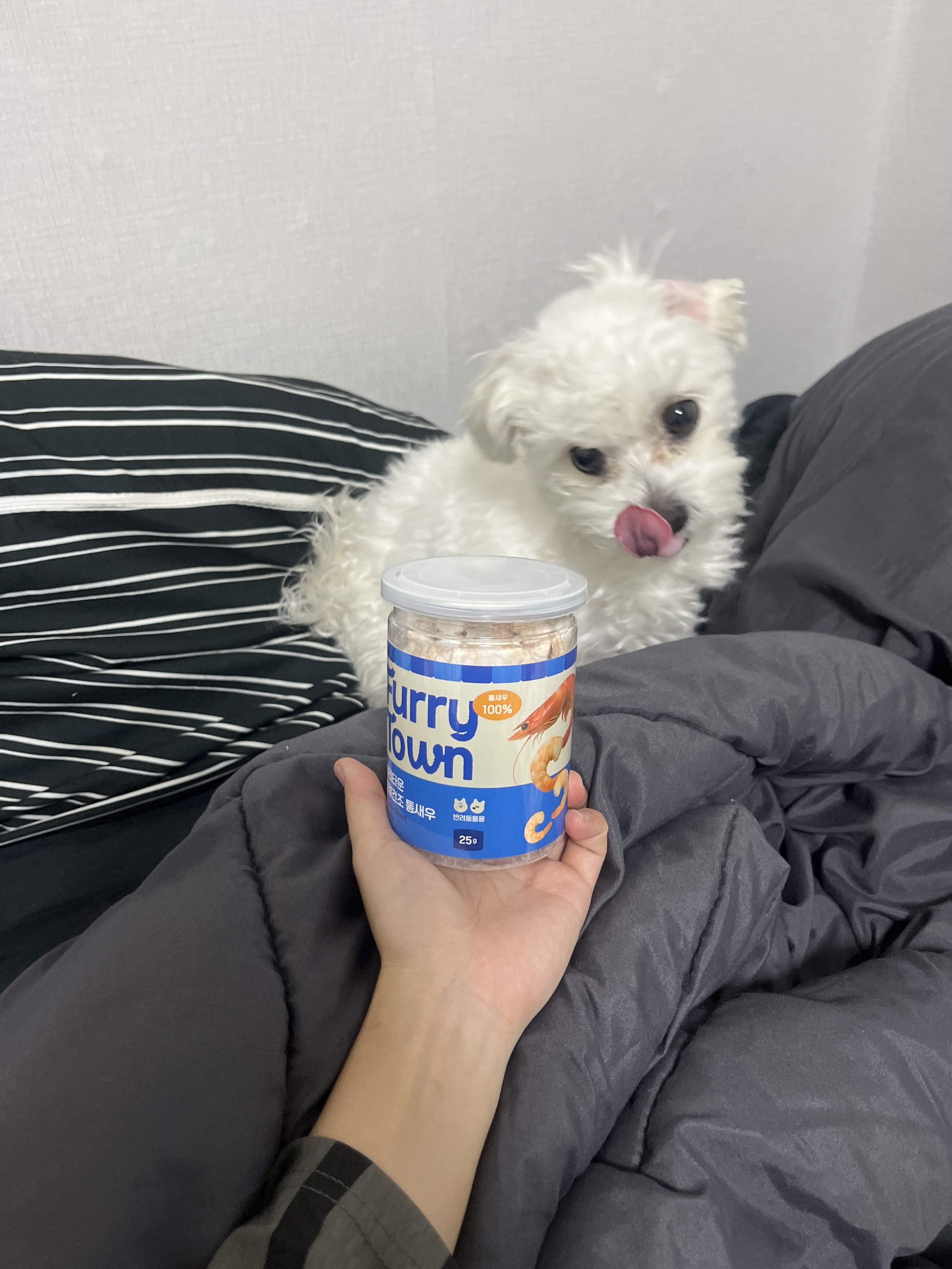 리뷰 이미지